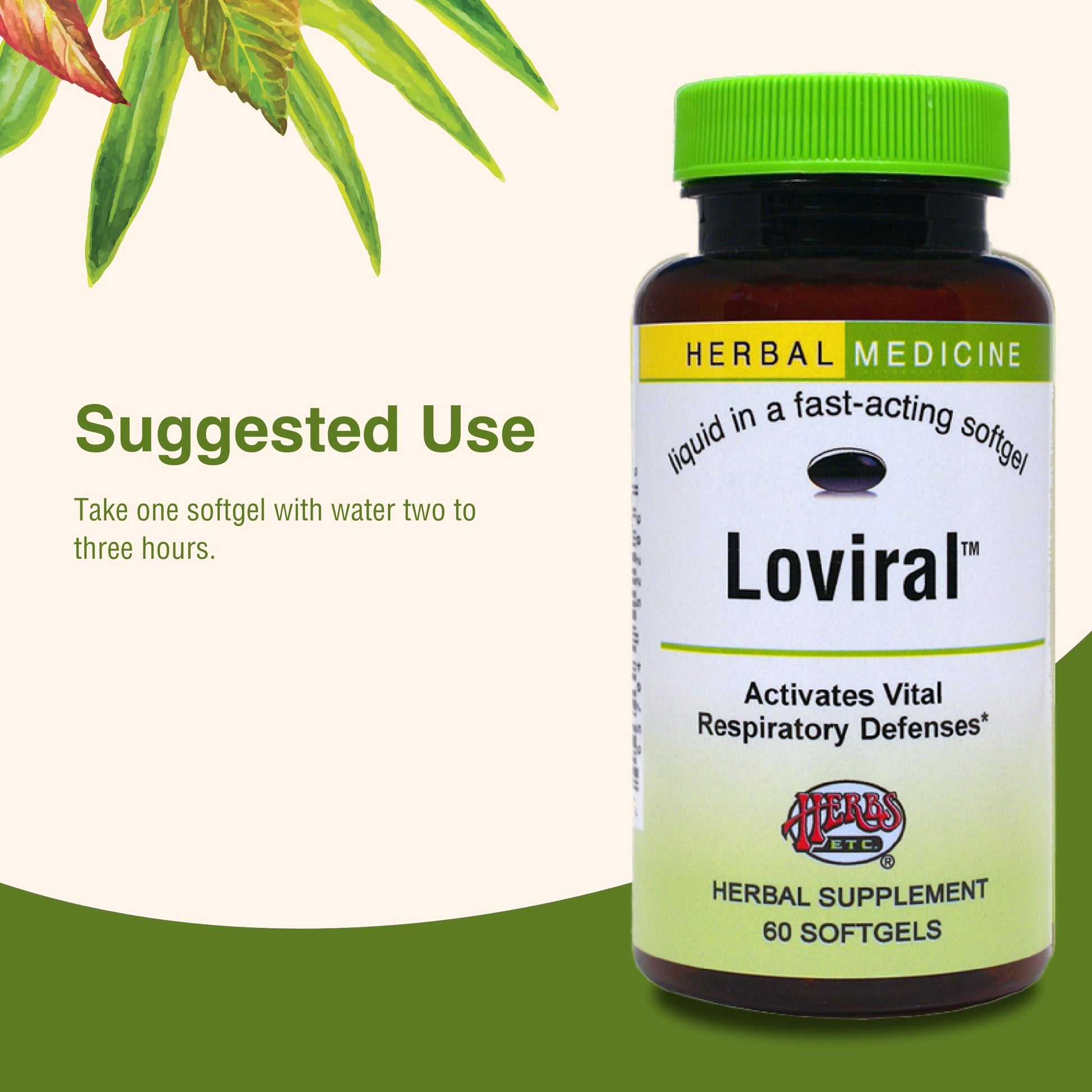 Herbs Etc. Loviral - Lung Health Supplement for Respiratory Defense & Support - Herbal Supplement with Lomatium, Pelargonium & OSHA - Gluten-Free - 60 Softgels (60 Servings) Herbs Etc. Au supplements