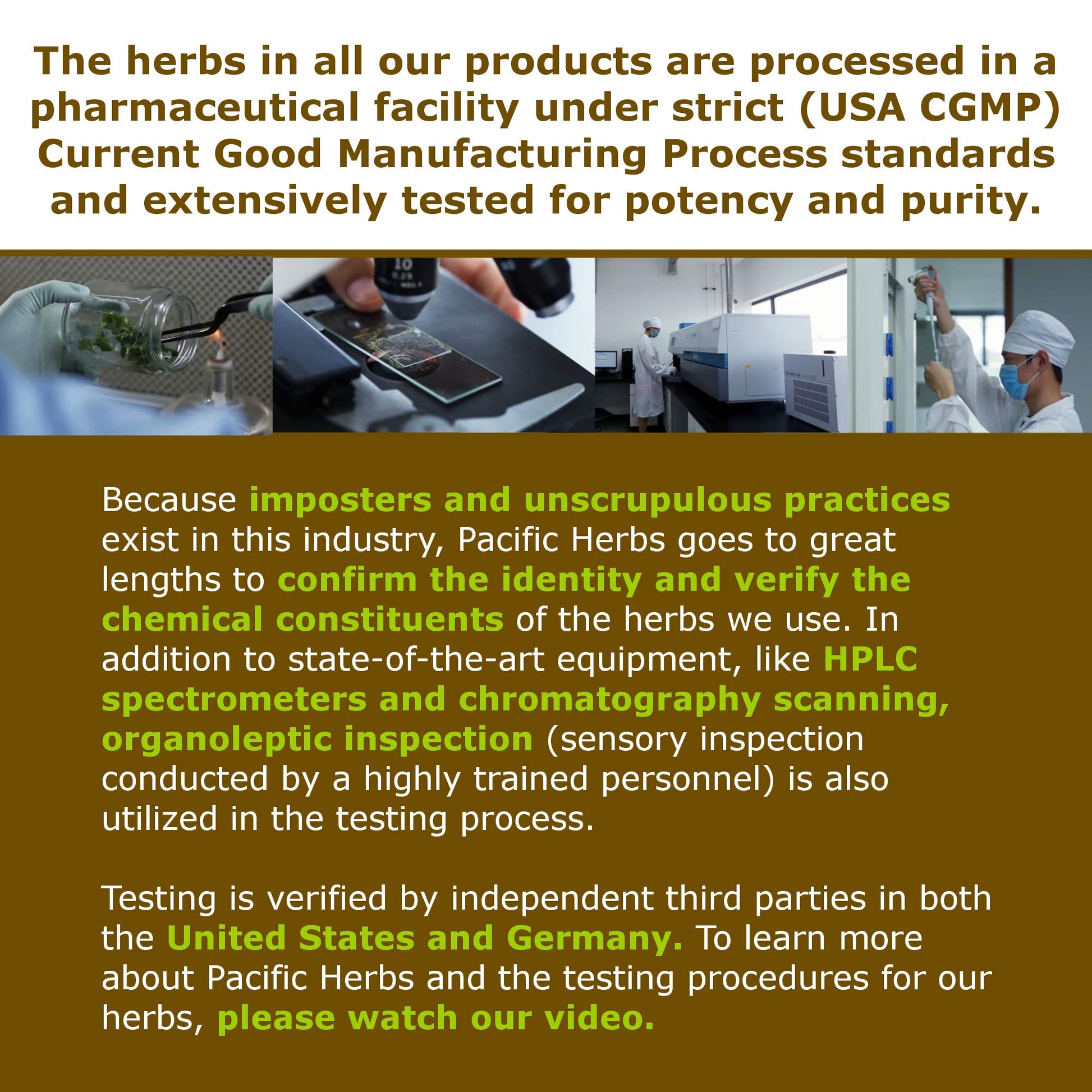 Pacific Herbs Corydalis Natural Pain Relief Herbs Pacific Herbs Au supplements