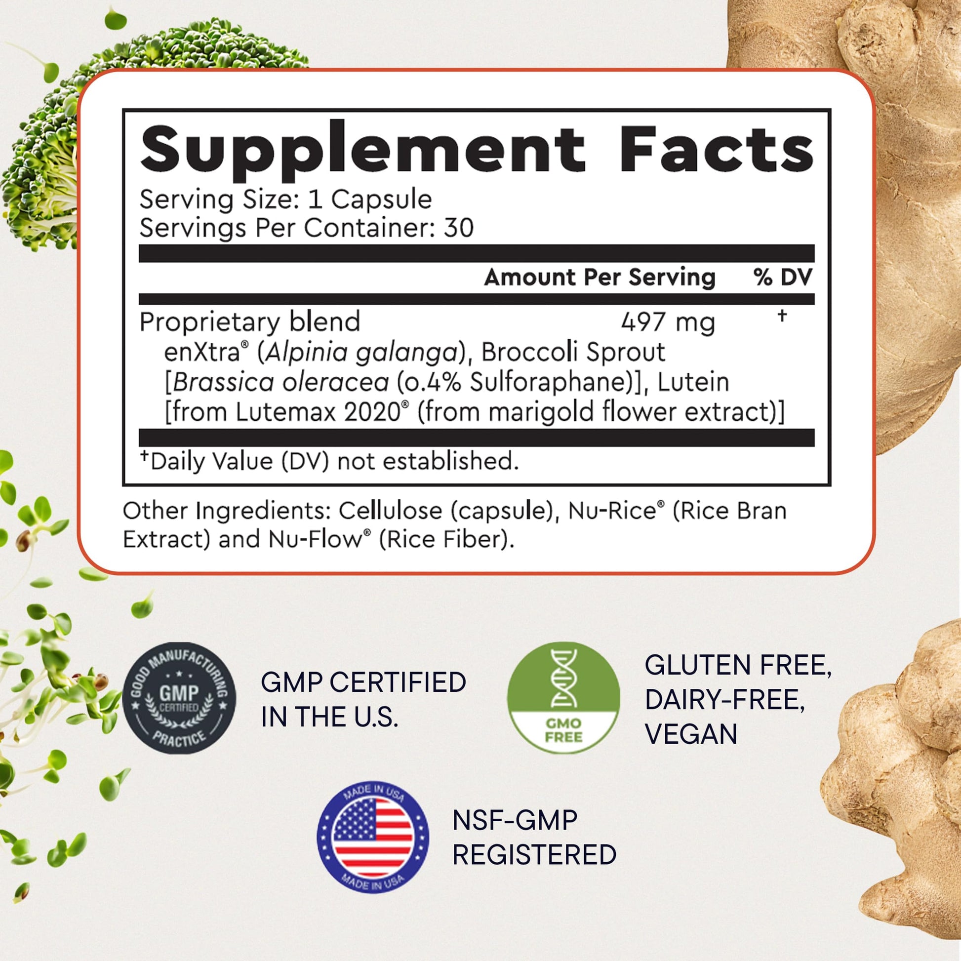Berkeley Life Cognitive Support Supplement for Memory & Focus - Brain Health Supplements Supports Memory Loss, Mental Clarity, Inability to Multitask & Loss of Speed - for Adults - 30 Capsules Berkeley Life Au supplements