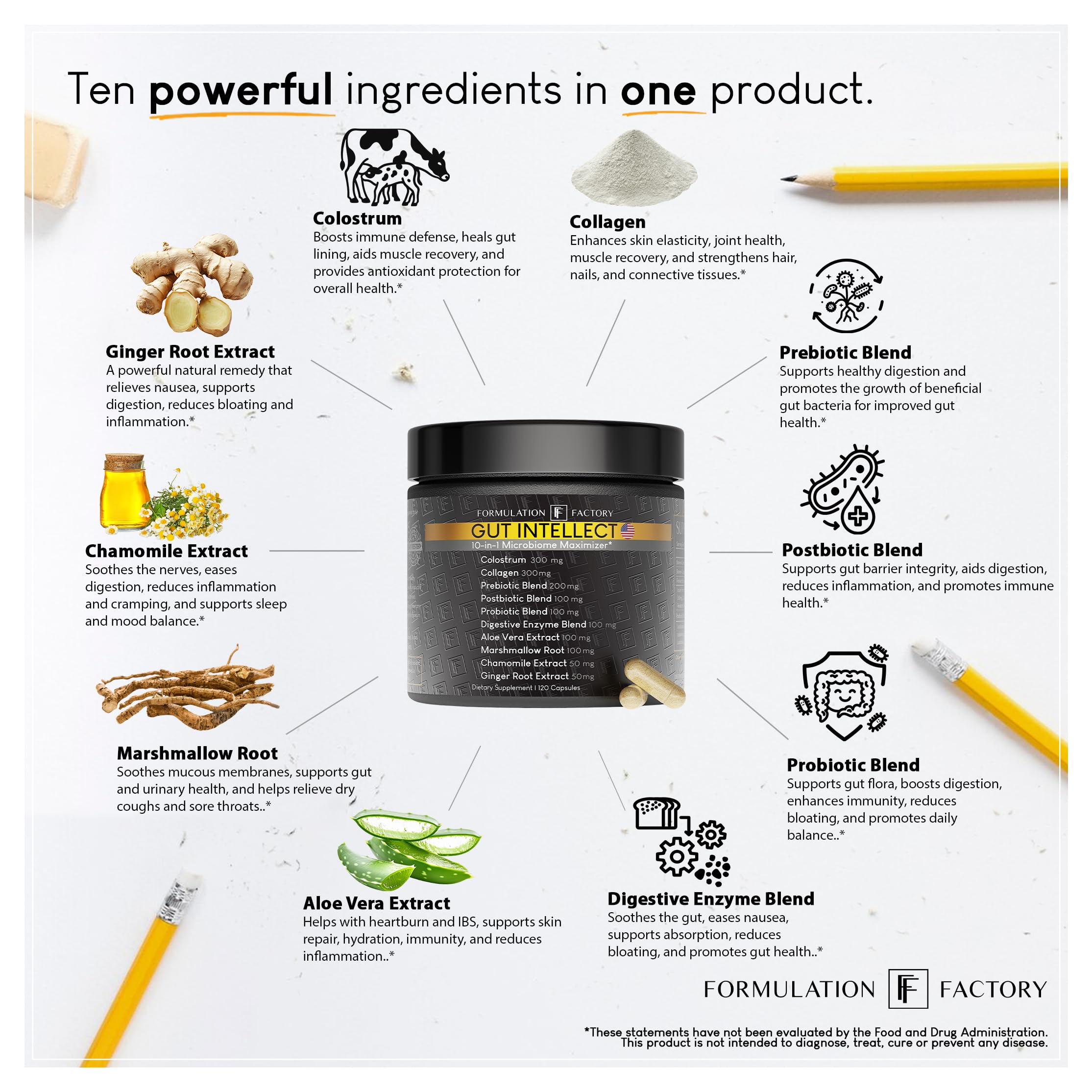 Formulation Factory Probiotics for Women & Men - Gut Intellect 10-in-1 Digestive Enzymes with Prebiotics and Postbiotics - Total Gut Health Supplement - 120 Capsules, 2 Month Supply Formulation Factory Au supplements