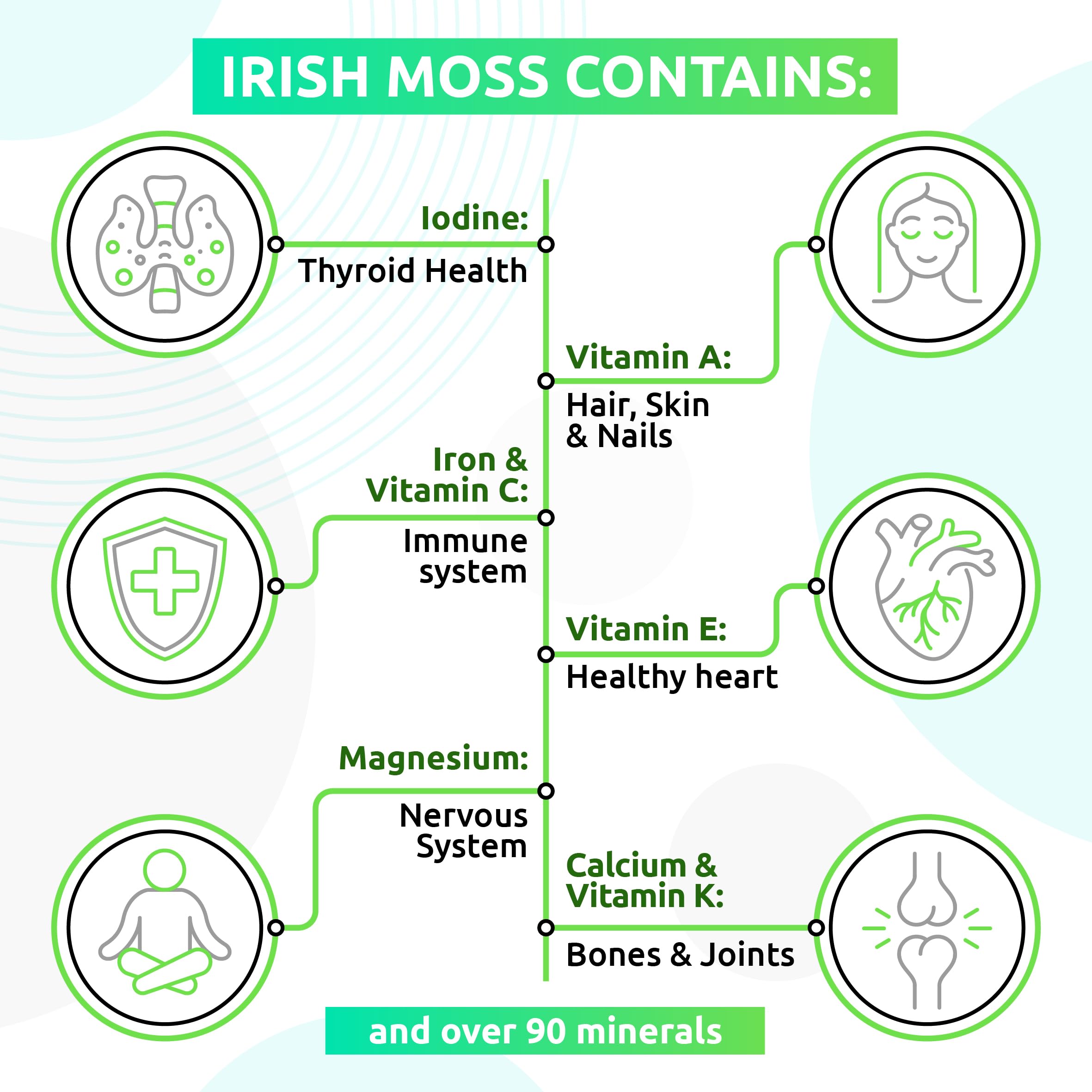 TrueSeaMoss Wildcrafted Irish Sea Moss Gel – Nutritious Raw Seamoss Rich in Minerals TrueSeaMoss Au supplements