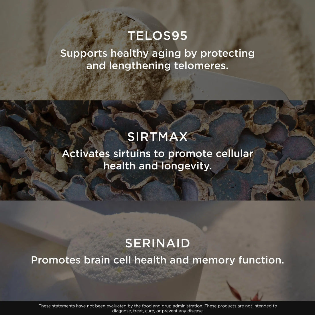 The Genius Brand Genius Eternal - Cellular Repair Supplement for Daily Clarity - Supports Brain Health, Endurance, Energy, Focus, Memory & Vitality - Non-GMO - 60 Veggie Capsules The Genius Brand Au supplements