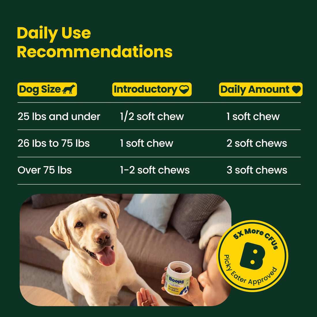 Boops Pets Probiotics for Dogs – 30 Billion CFU with Pre, Postbiotics & Digestive Enzymes – Supports Gut Health, Immunity, Loose Stools & Allergies – Filet Mignon Flavor – Vet Formulated – 60 Chews Boops Pets uk supplements