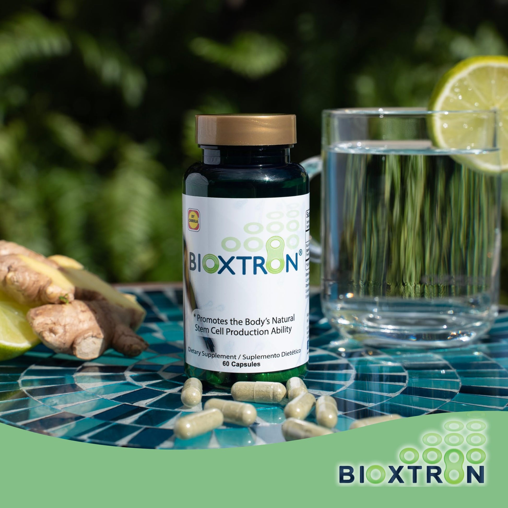 Bioxtron Natural AFA Stem Cell Supplement - Joint Support & Muscle Pain - Immune System Support - Support Energy Levels - Natural Blue Green Algae Spirulina - Pack of 2-120 Caps Bioxtron Au supplements