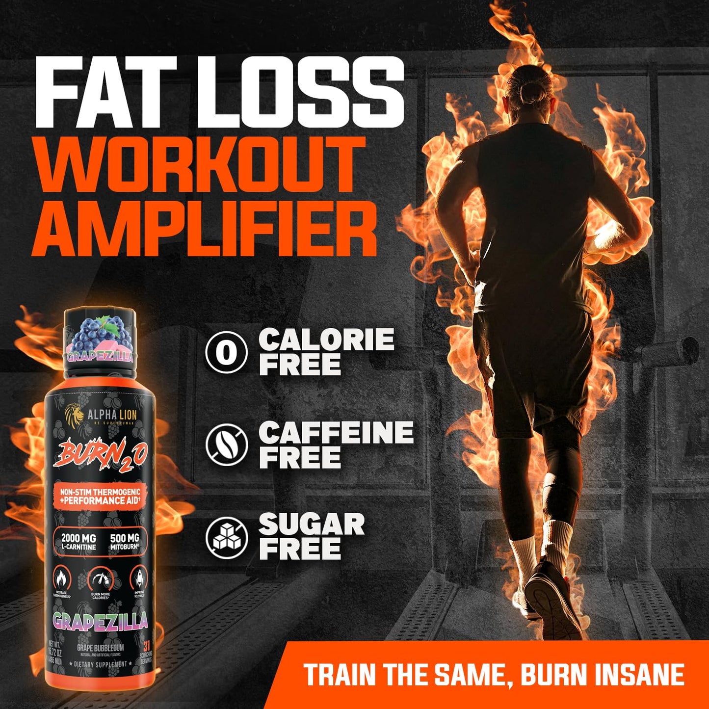 ALPHA LION Burn2O L-Carnitine Liquid 2000mg – Stim Free Super Thermogenic Fat Burner with MitoBurn® & CaloriBurn GP®, Metabolism Booster, Zero Calorie ALPHA LIONUS supplements