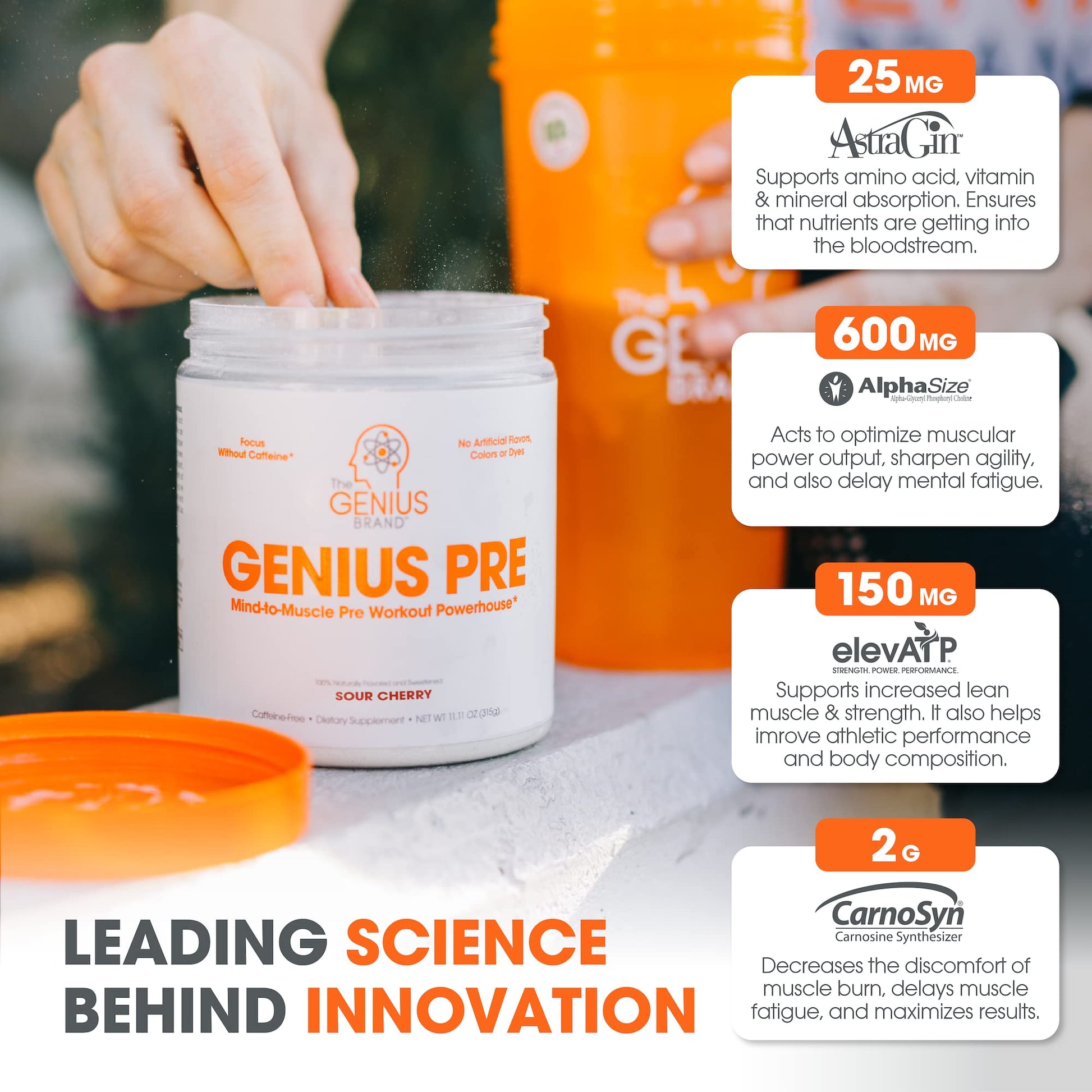 Genius Pre Workout Powder, Sour Cherry, and Genius Micronized Creatine Monohydrate The Genius Brand Au supplements