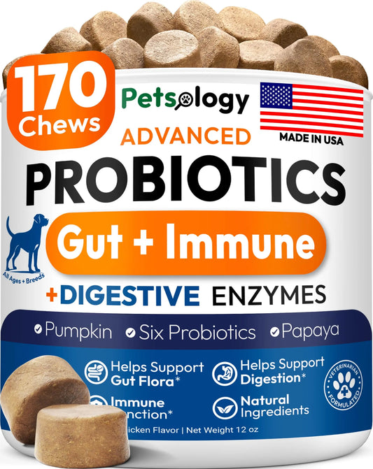Probiotics for Dogs - 170 Dog Probiotics Chews - Digestive Enzymes & Prebiotics - Support Gut Health, Diarrhea, Gas & Constipation Relief - Itchy Skin, Allergies, Yeast Balance - Advanced Supplement PetsologyAU supplements