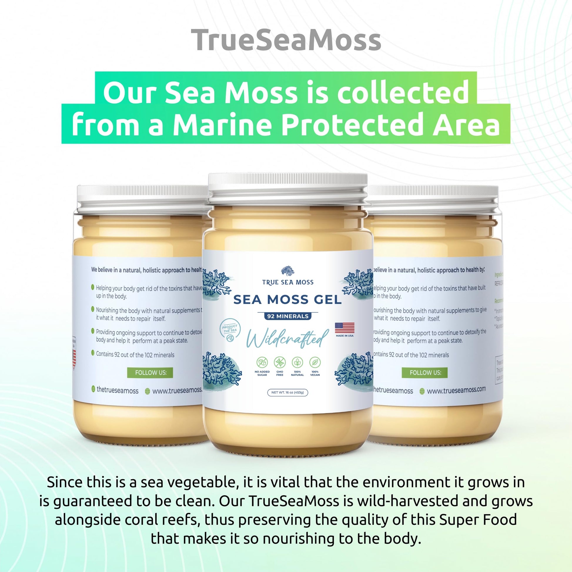 TrueSeaMoss Wildcrafted Irish Sea Moss Gel – Nutritious Raw Seamoss Rich in Minerals TrueSeaMoss Au supplements