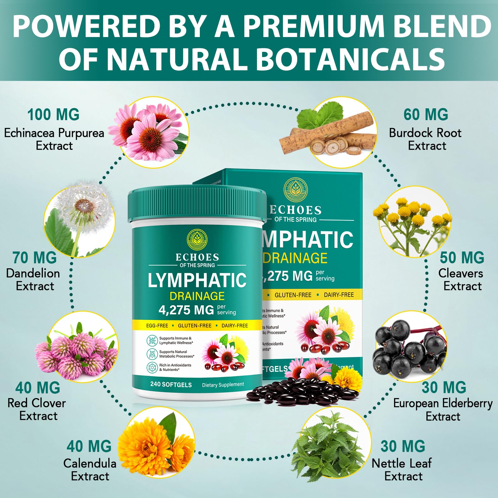 Lymphatic Drainage Supplements, 4275mg Lymph System Support Supplement for Women & Men, Daily Wellness Support, 21-in-1 Herbal Blend with Echinacea, Dandelion, Burdock, Turmeric & More, 240 Softgels Echoes of the spring Au supplements