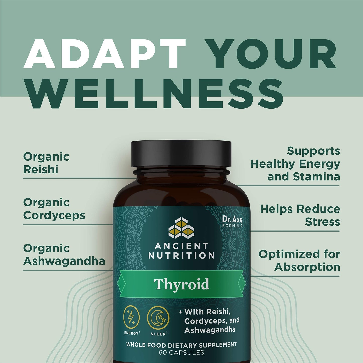 Ancient Nutrition Thyroid Support Supplement with Ashwaghanda, Thyroid Capsules Ancient NutritionUS supplements
