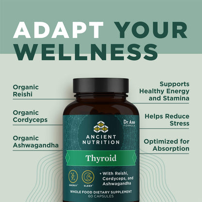 Ancient Nutrition Thyroid Support Supplement with Ashwaghanda, Thyroid Capsules Ancient NutritionUS supplements
