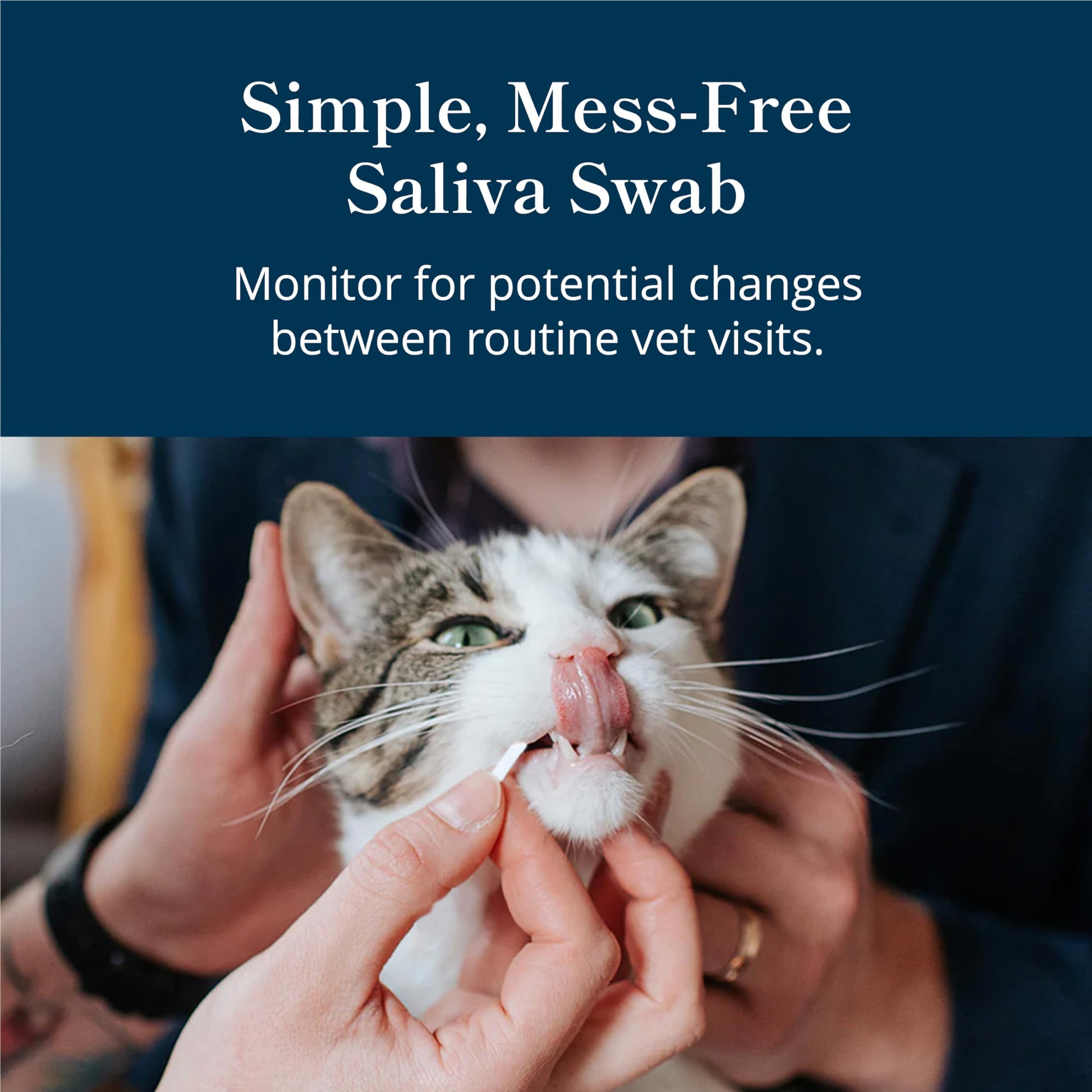 Petivity At-Home Kidney Health Test Kit for Cats — Quick Saliva Urea Test (2-Minute Home Check), Powered by Purina — Help Detect Early Kidney Changes - (Pack of 3) petivity Au supplements