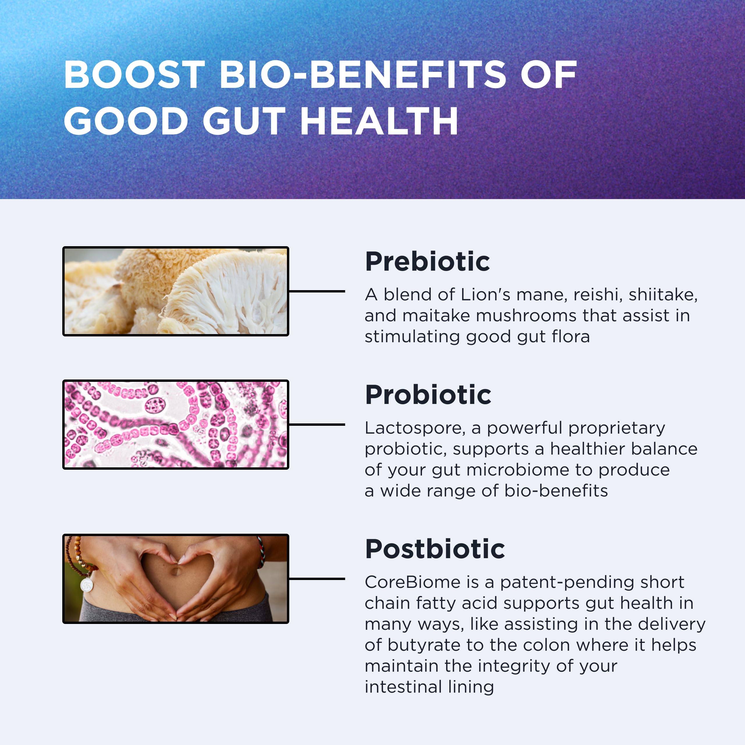 DR. EMIL NUTRITION Total Gut Health Complex - Prebiotic, Probiotic & Postbiotic Supplement - Supports Digestive Health, Bloating & Gut Balance - Non-GMO & Soy-Free - 60 Capsules DR. EMIL NUTRITION Au supplements
