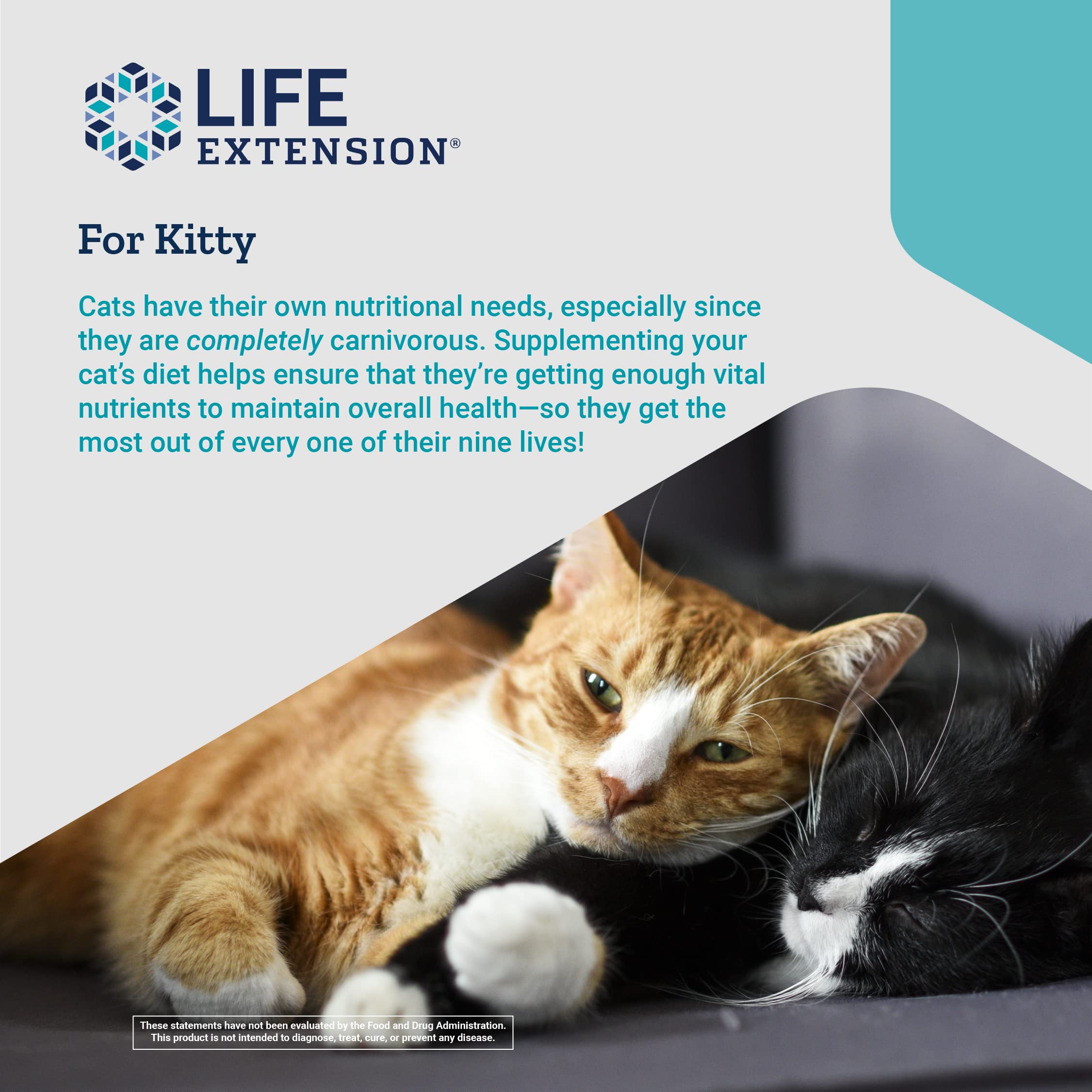 Life Extension Cat Mix – For Heart, Kidney & Pancreatic Function + Gut Health Life Extension Au supplements