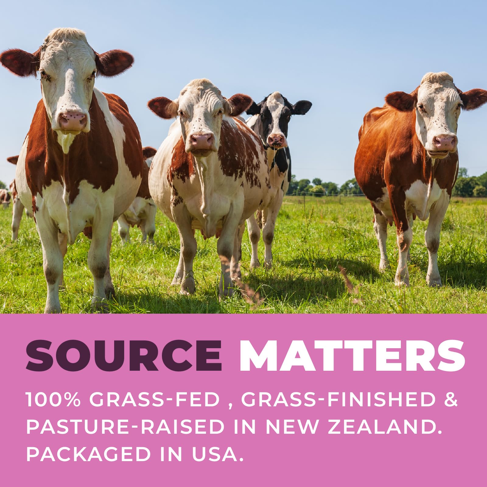 Beef Organ Supplement for Women - Beef Liver, Kidney, Heart and Uterus Tissue, Supports Women's Overall Energy and Health - Pasture Raised in New Zealand - No Fillers or Flow Agents - 120 Capsules Left Coast Performance Au supplements