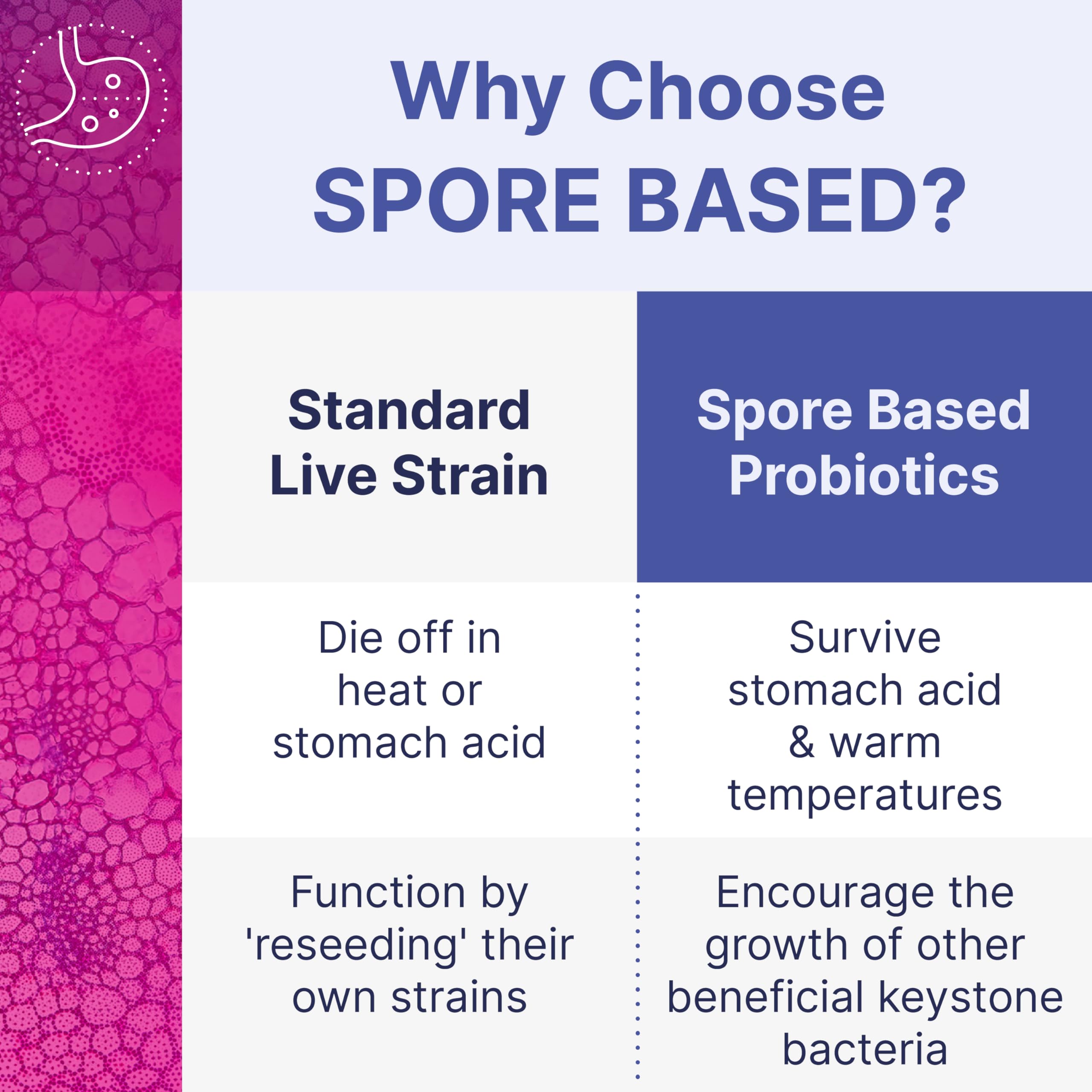 Microbiome Labs MegaSporeBiotic Probiotics for Women & Men - Spore-Based Probiotic for Gut Health & Digestive Support - Shelf-Stable, Travel-Friendly, Mens & Womens Probiotics (60 Capsules) Microbiome Labs Au supplements