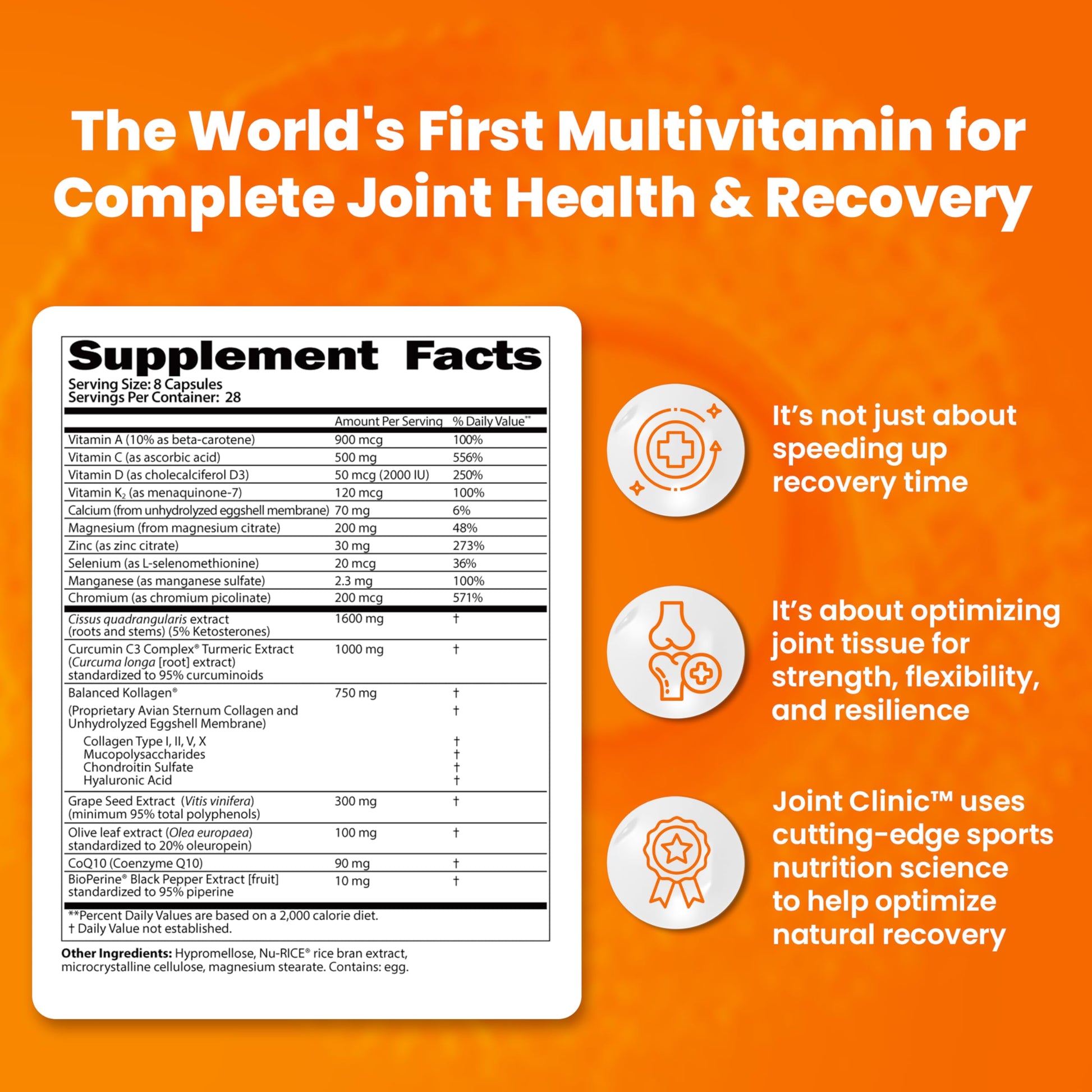 SaltWrap Joint Clinic - Multivitamin for Joint Health and Recovery - with Type II Collagen, C3 Turmeric, Cissus, and Hyaluronic Acid - 224 Capsules SaltWrapUS supplements
