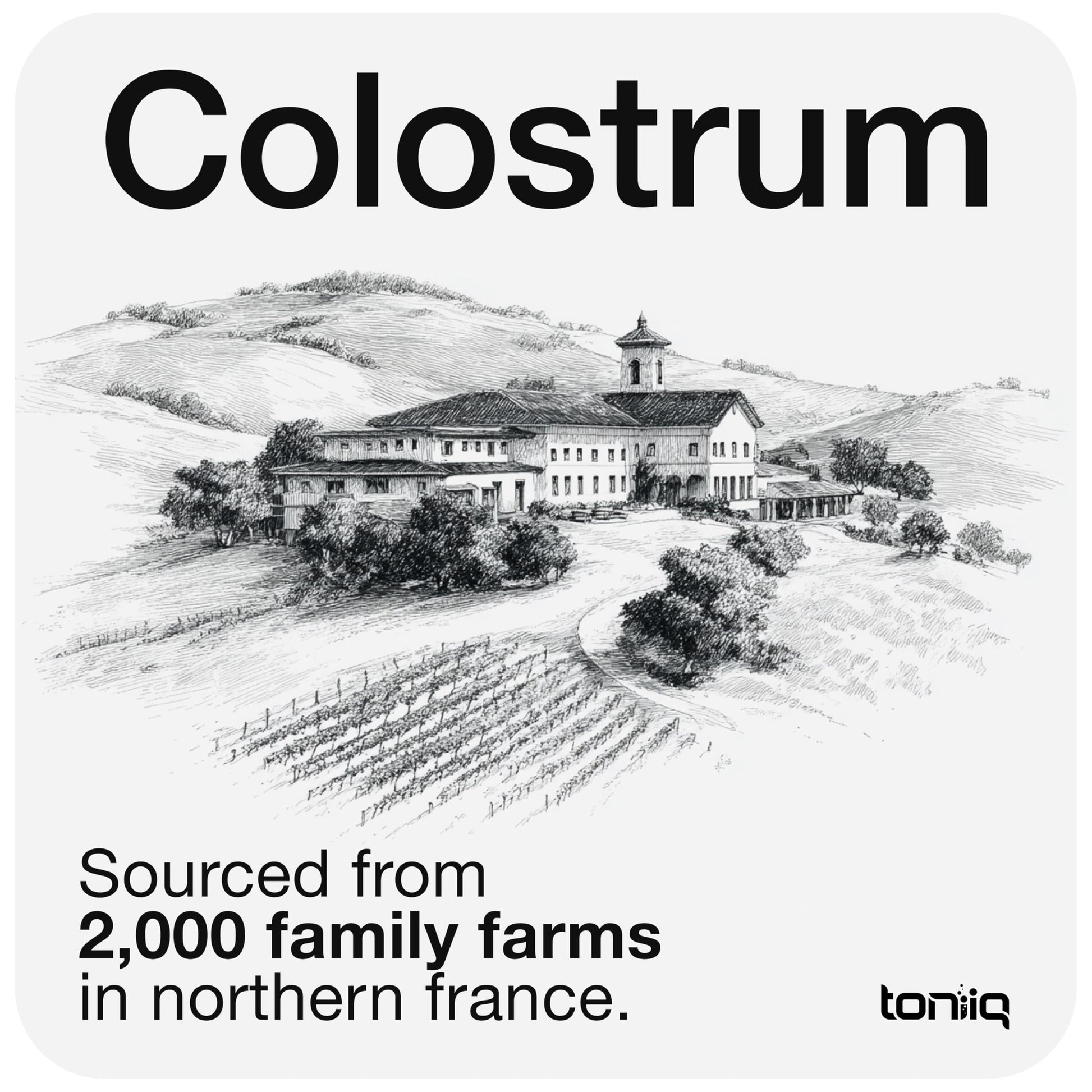 Toniiq Colostrum Powder – Ultra High Potency 50% IgG Concentrate – Farm-to-Jar Traceable French Colostrum – Microfiltered for Purity – Third-Party Lab Verified – 30 Servings Toniiq Au supplements