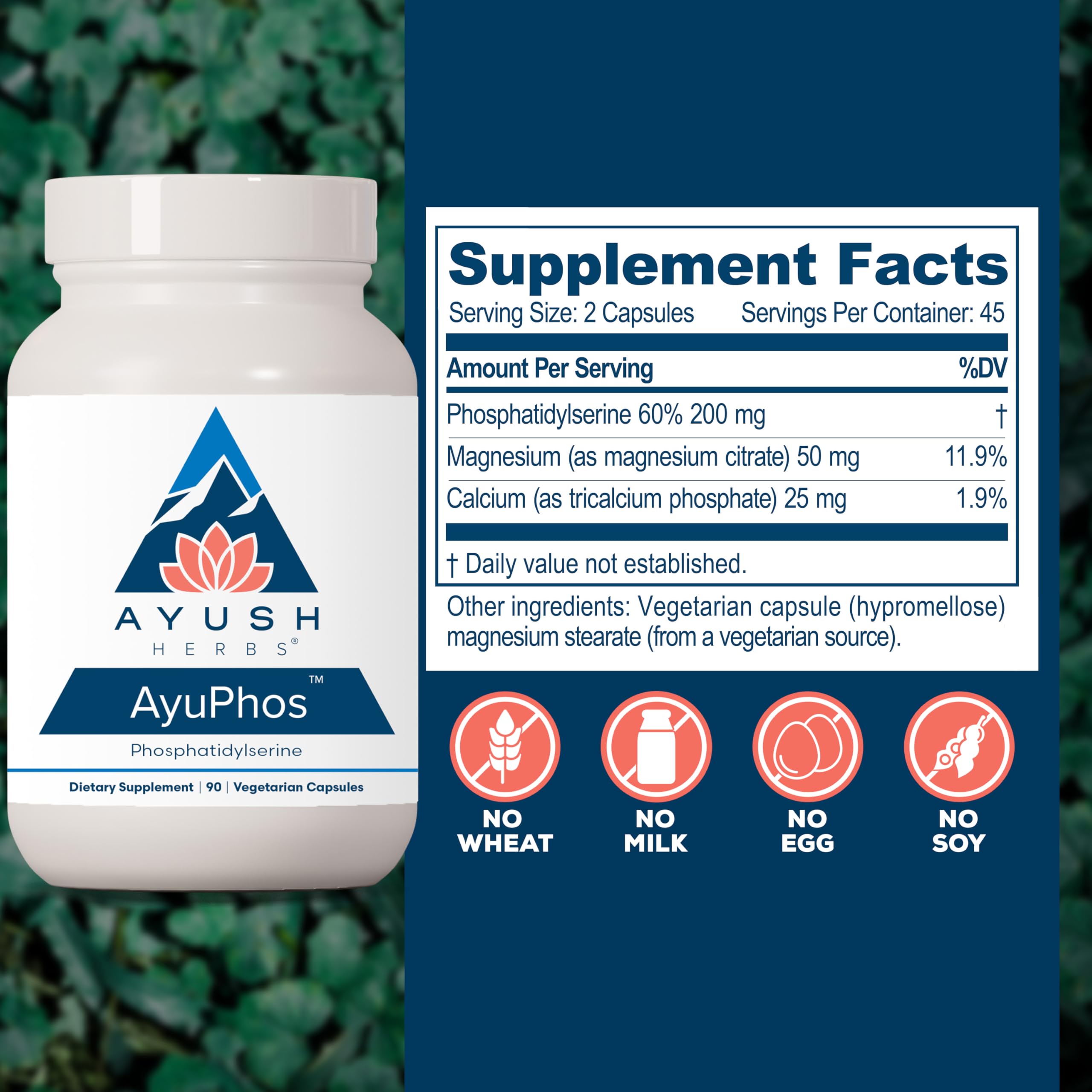 Ayush Herbs AyuPhos - Phosphatidylserine Supplement for Men & Women, Soy-Free Phosphatidyl Serine, Brain, Memory, & Cognitive Support for Adults, 200mg Per Pill - 45 Servings Ayush Herbs Au supplements