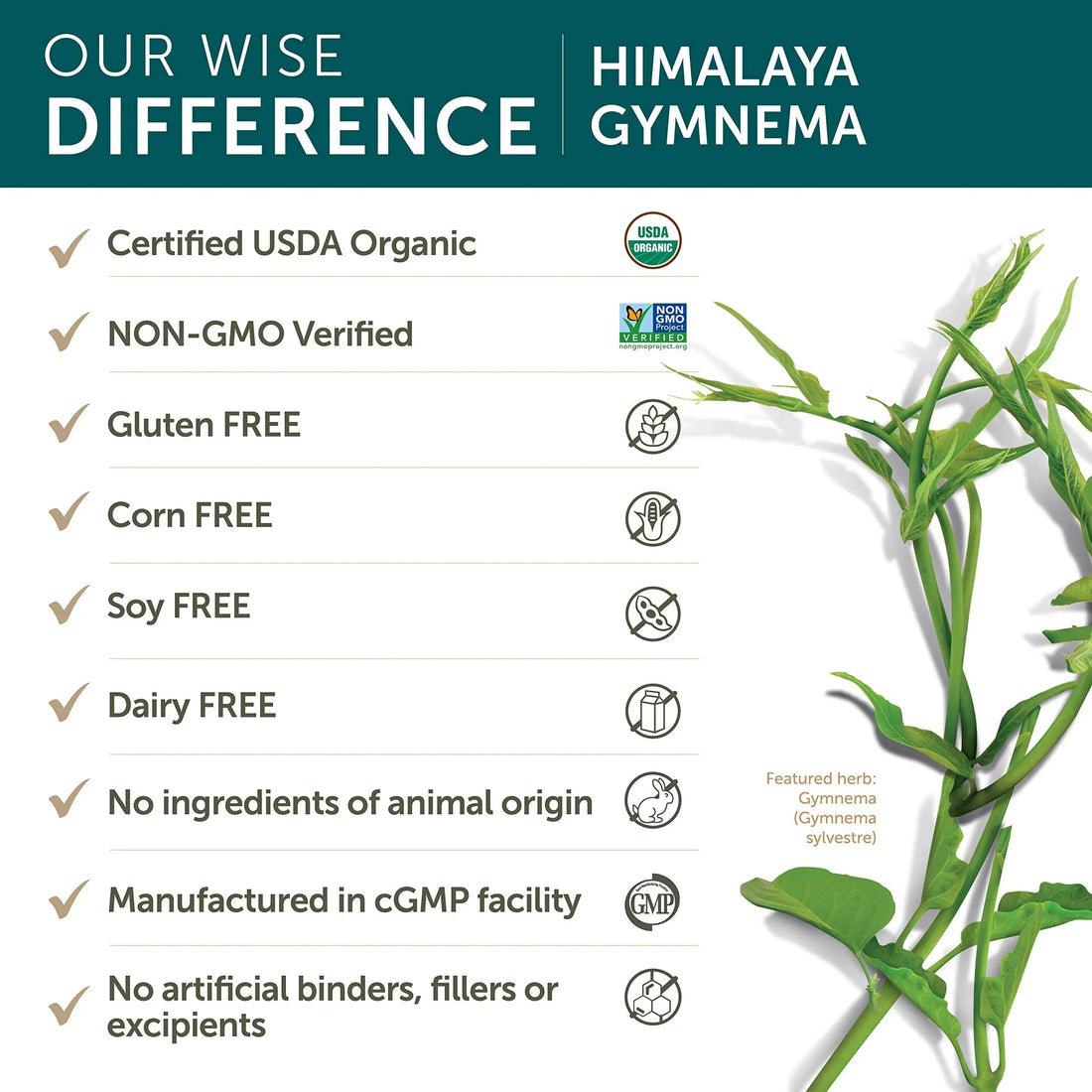 Himalaya Organic Gymnema Sylvestre for Glucose Metabolism, 700 mg Himalaya uk supplements