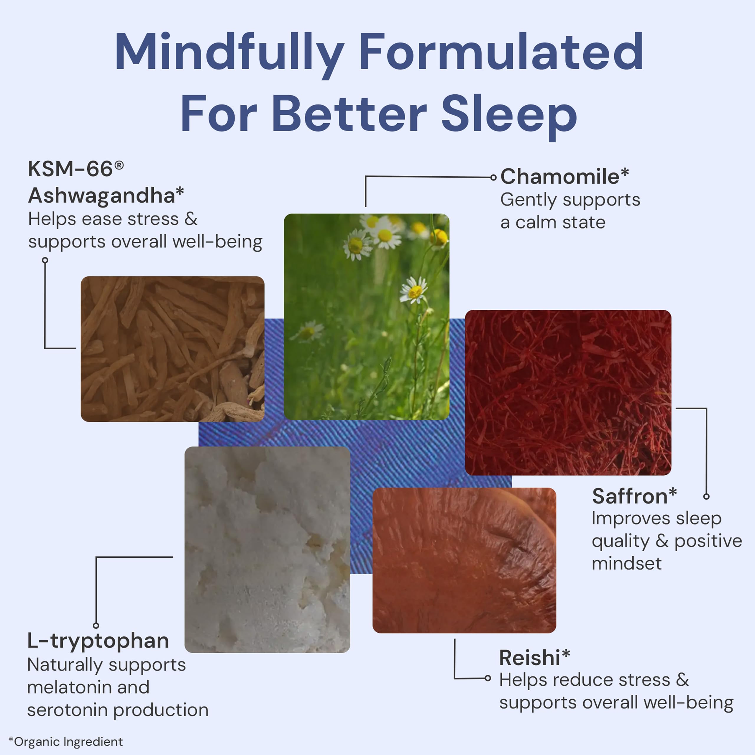 ION* Intelligence of Nature Restful Sleep - Ashwagandha Calm Sleep Aid Powder Drink Mix for Restful Night with Magnesium and L Theanine for Women and Men - 5 Packets ION* Intelligence of Nature Au supplements