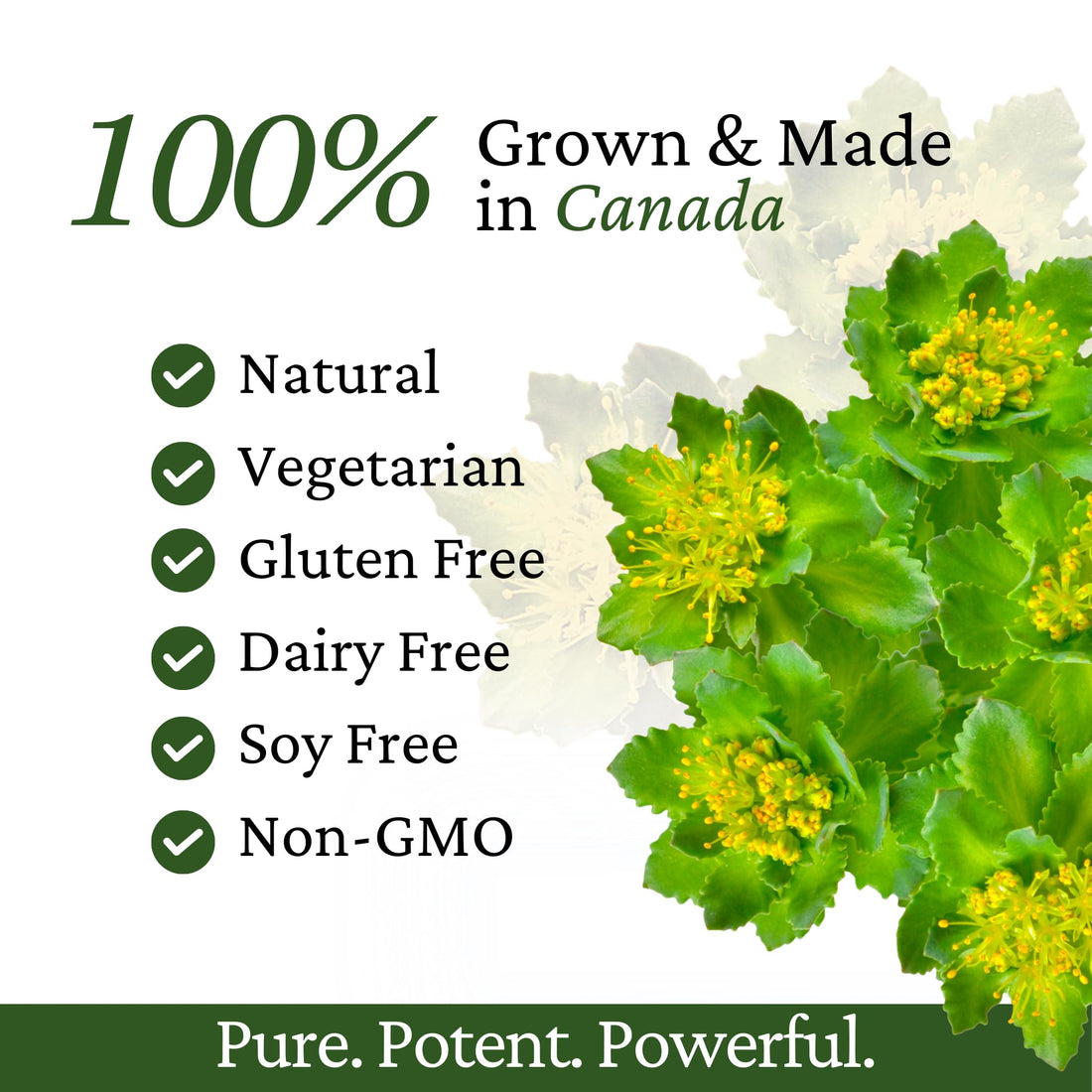 Immune Support, Energy Booster with Vitamin C, D3 and Zinc Supplement, Rhodiola Rosea, Reishi Mushroom Extract, Astragalus, Overall Wellness and Daily Habit - 60 Capsules Rhoziva uk supplements
