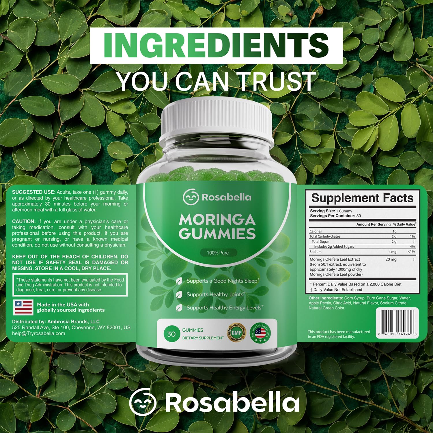 Rosabella Moringa Gummies – Moringa Leaf Extract 1000mg Equivalent Per Serving – Natural Energy & Balance – Non-GMO, Gluten-Free Superfood