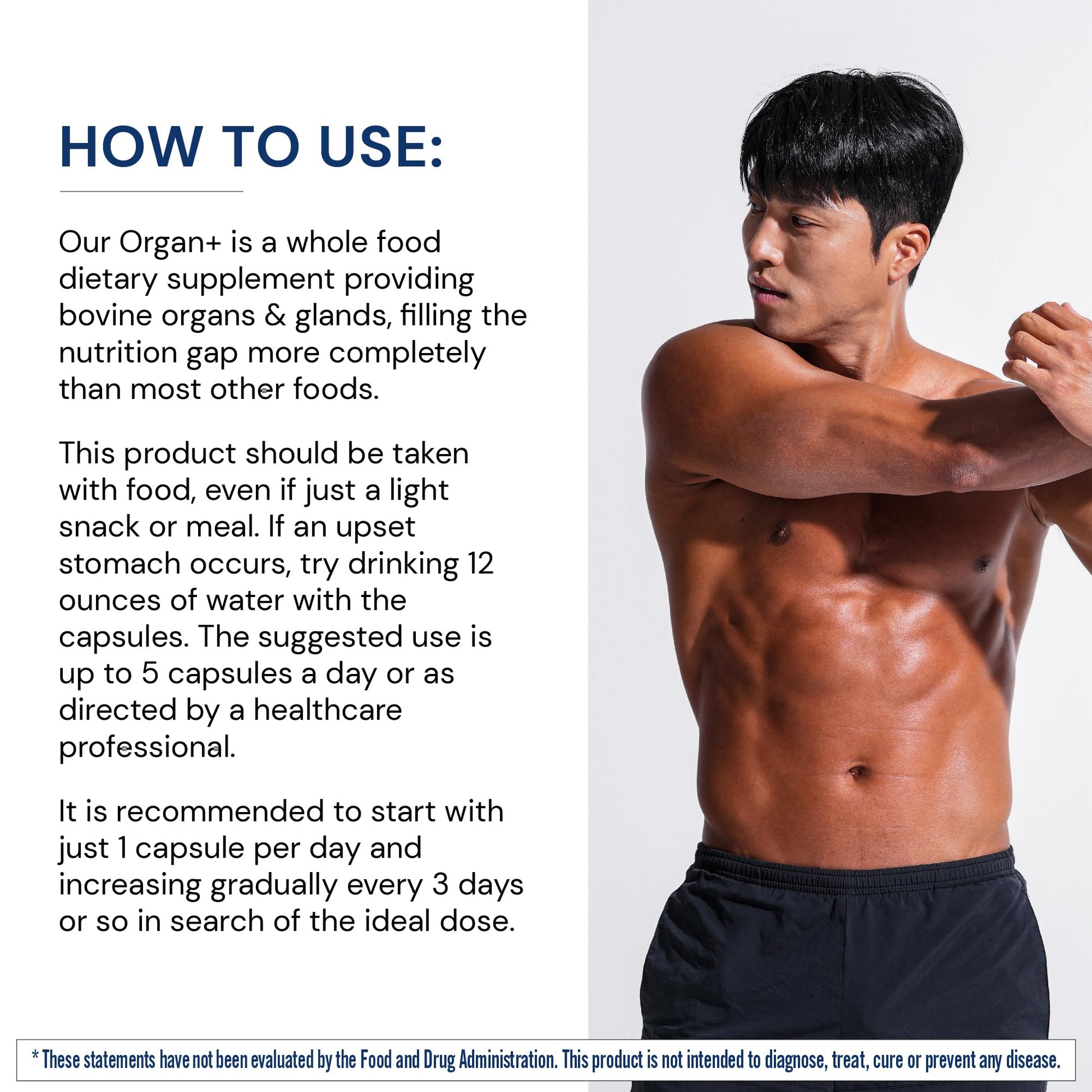 BodyHealth Organ+ Grass-Fed Glandular Organ Complex, Grassfed Beef Organ Supplement, Dessicated Beef Liver, Heart, Kidney, Pancreas, Spleen, Non GMO, Adrenal, Supplement, (150 Capsules) BodyHealth Au supplements