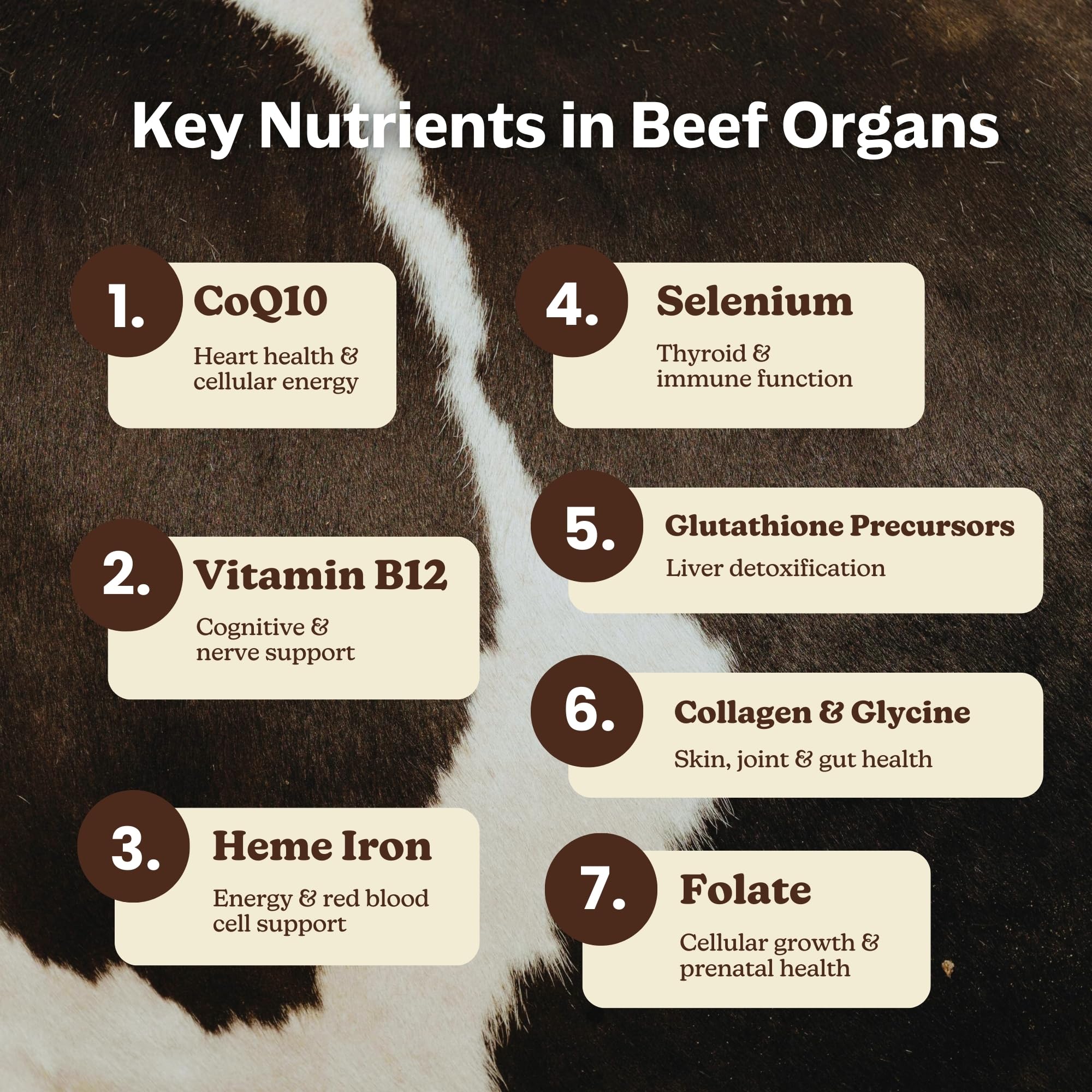 MK Supplements Grass-Fed Beef Organs Capsules | 5 Organs in Nature-Identical Ratios | B12, Copper & Heme Iron | Regeneratively Raised | 150 Capsules MK Supplements Au supplements