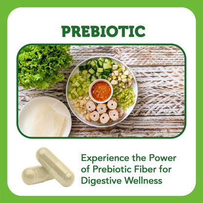Vitamin Bounty Prebiotic Capsules - PreforPro® Prebiotics Supplement for Women & Men Digestive Health & Advanced Gut Health – No Fiber, No Bloating Vitamin BountyUS supplements