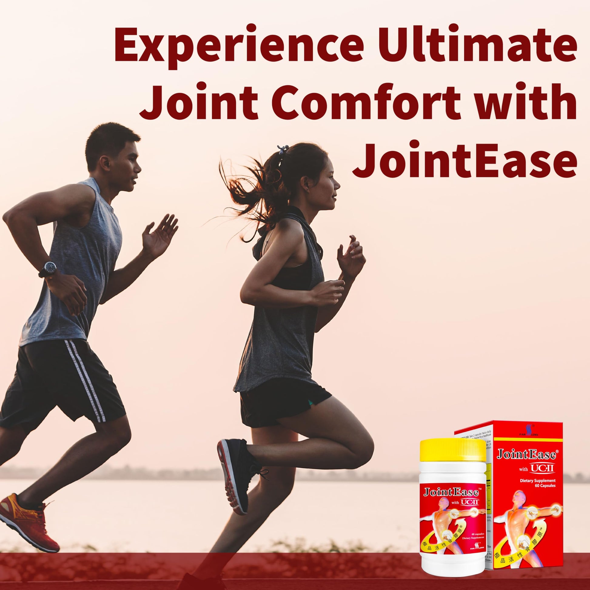 FARLONG JointEase with UC-II, Undenatured Type II Collagen, Glucosamine Hydrochloride, Chondroitin Sulfate, Joint Dietary Supplement | 60 Capsules FAR LONG Au supplements