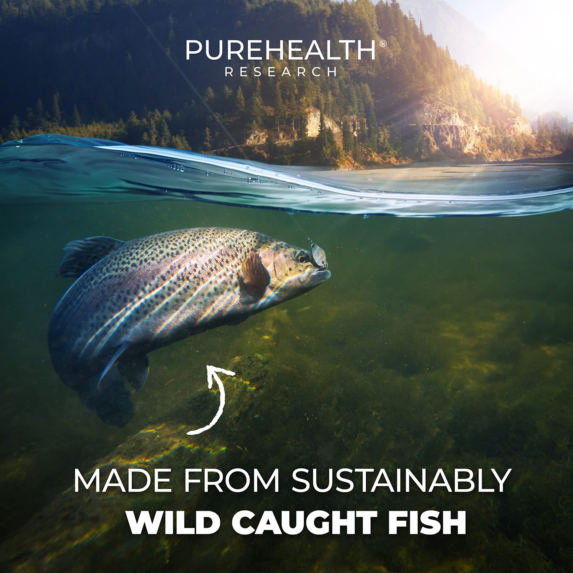 PUREHEALTH RESEARCH Complete Omega 3 Fish Oil Softgels - Omega-3 Fatty Acid Supplements- EPA DHA Supplement - Non-GMO- 90 Soft Gels PUREHEALTH RESEARCH Au supplements