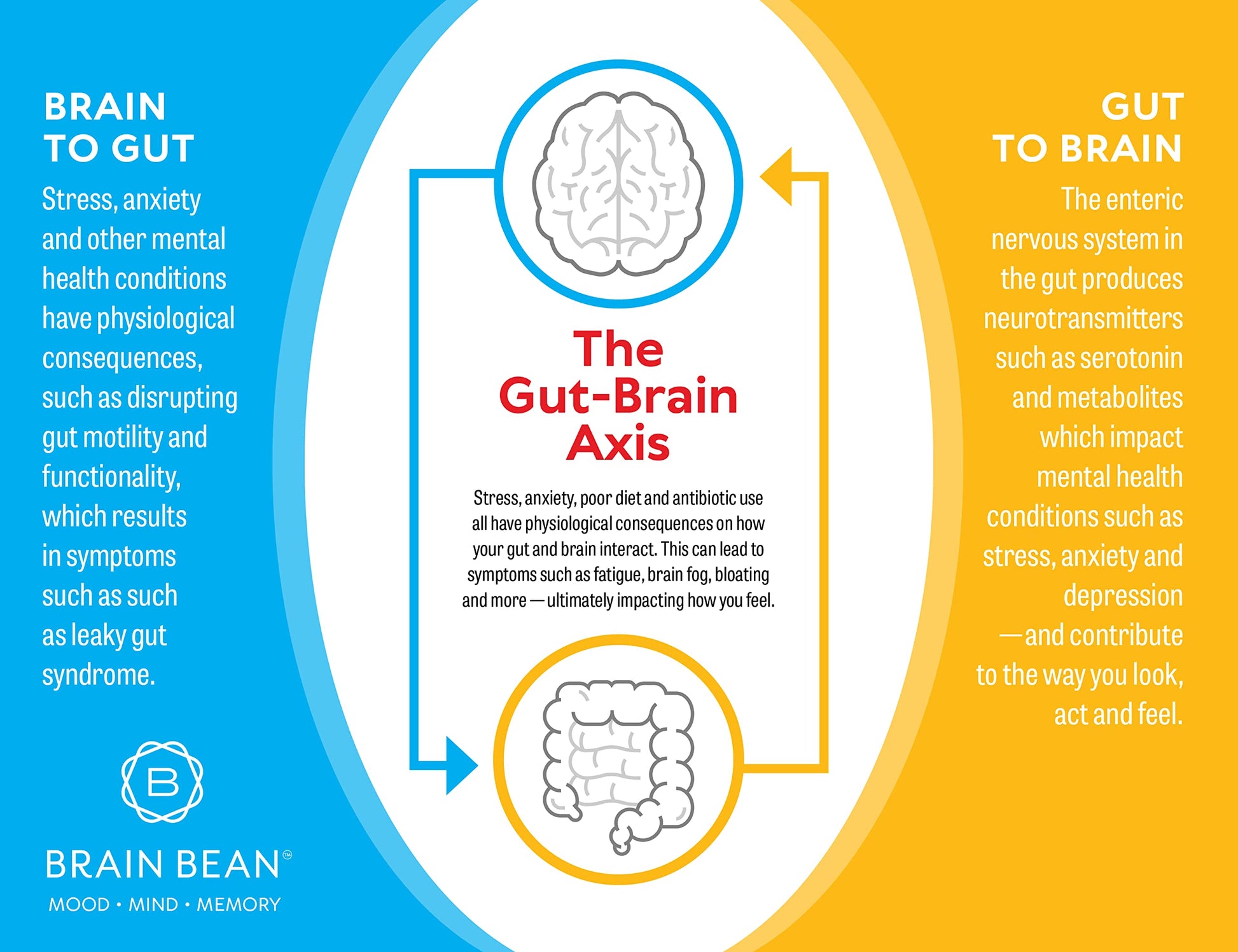 Brain Basics Ultra Pure IgG Supplement - Dairy-Free Supplement IgG-Immunolin Powder, Blended Vitamin & Mineral Supplements, 150g, 60 Servings Brain Bean Au supplements