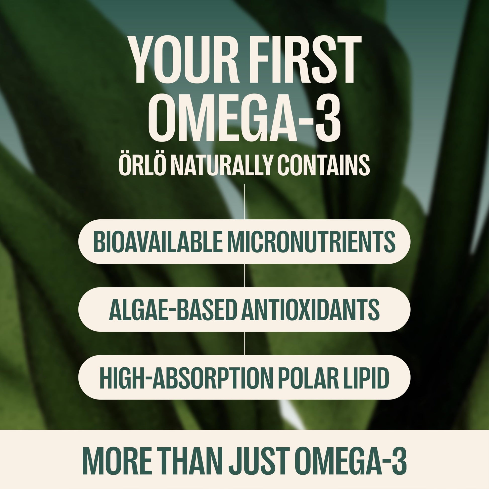 Orlo DHA Supplement 1000mg - 3X Absorption Natural Icelandic Nordic Omega 3 DHA & EPA for Brain & Eye Support – Vegan Fish Oil Alternative, No Fishy Aftertaste, 60 Easy-to-Swallow Mini Softgels Orlo Au supplements