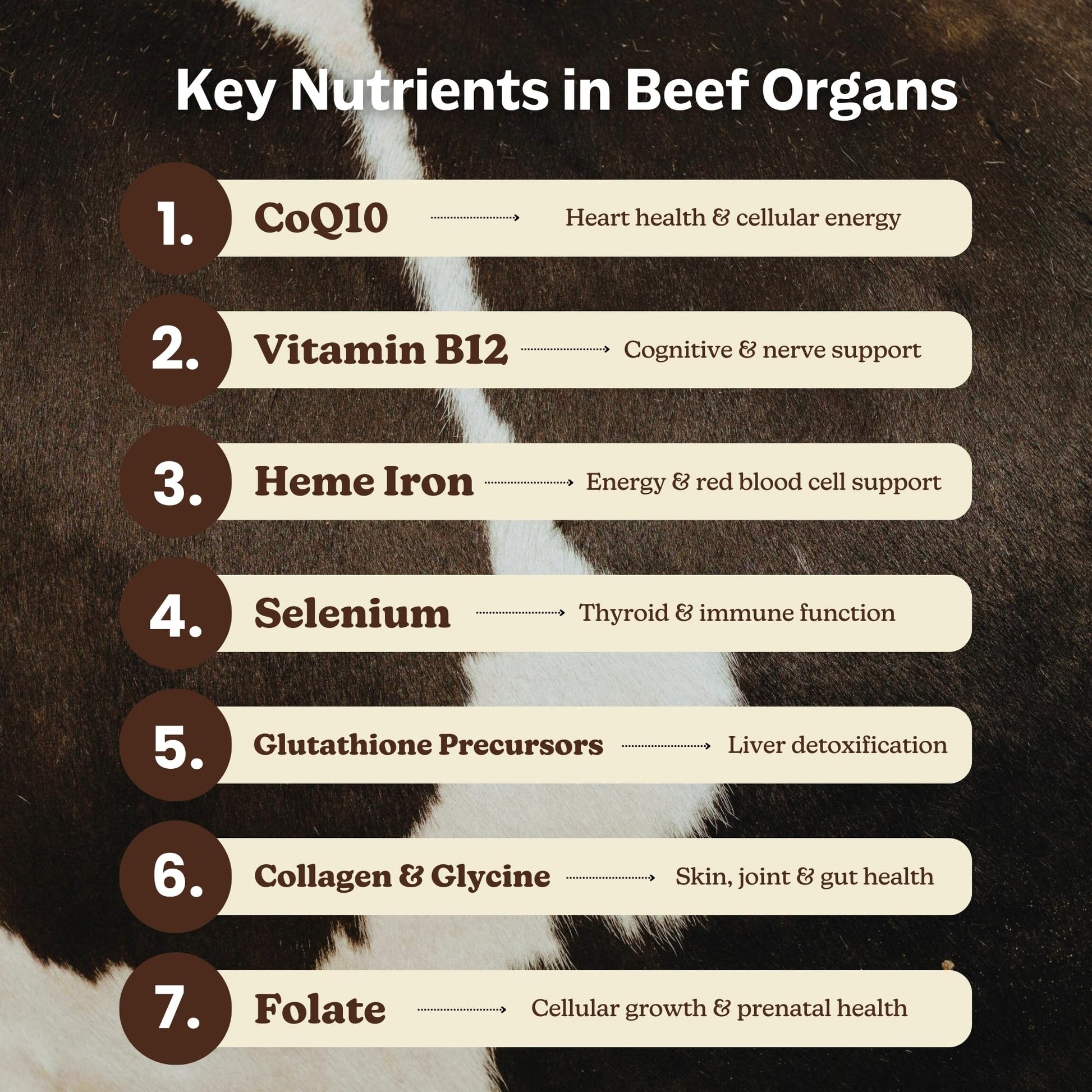 MK Supplements Grass-Fed Beef Organs Capsules | 5 Organs in Nature-Identical Ratios | B12, Copper & Heme Iron | Regeneratively Raised | 150 Capsules MK Supplements Au supplements