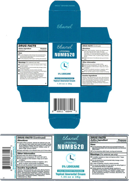 Ebanel 5% Lidocaine Numbing Cream, 2-Pack Pain Relief Burn Itch Numb Cream, Maximum Strength Topical Anesthetic with Allantoin, Vitamin E for Local and Anorectal Uses, Hemorrhoid Treatment Ebanel buy supplements Au