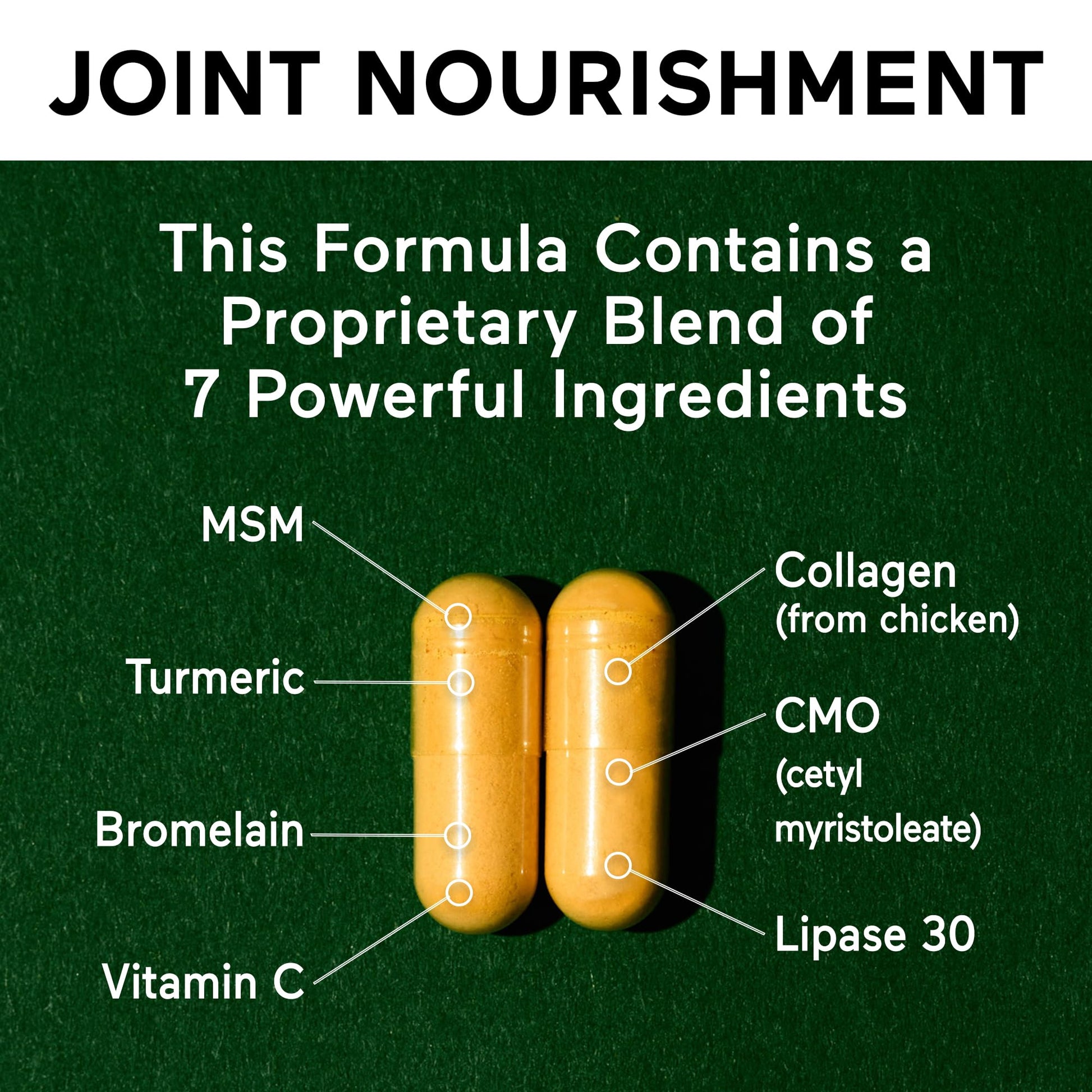 SMARTERNUTRITION Joint Food - Whole-Food Joint Supplement to Support Lubrication & Mobility - Formulated with Collagen Type II, MSM, Vitamin C, Turmeric, Bromelain - 6 Pack[180-Day Supply] SMARTERNUTRITION Au supplements