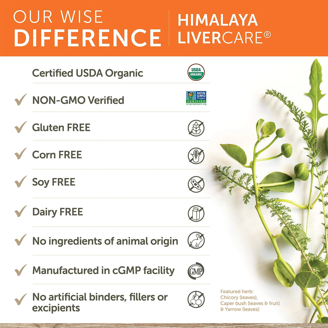 Himalaya LiverCare for Liver Cleanse and Liver Detox, 375 mg, 180 Capsules Himalaya uk supplements