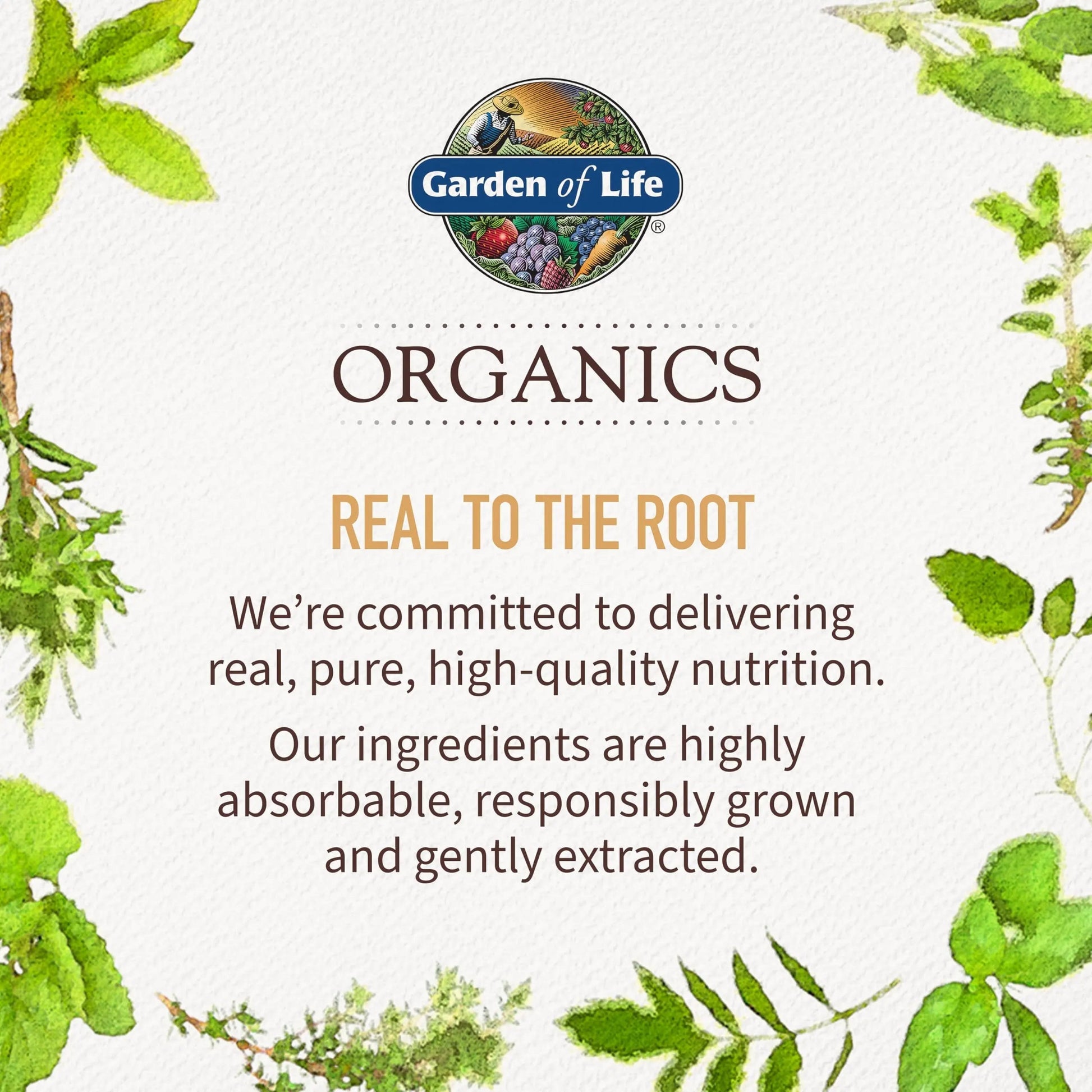 Garden of Life Organics Men's Gummy Vitamins - Berry - Certified Organic, Non-GMO, Vegan, Kosher Complete Multi - Methyl B12, C & D3 Garden of Life Au supplements