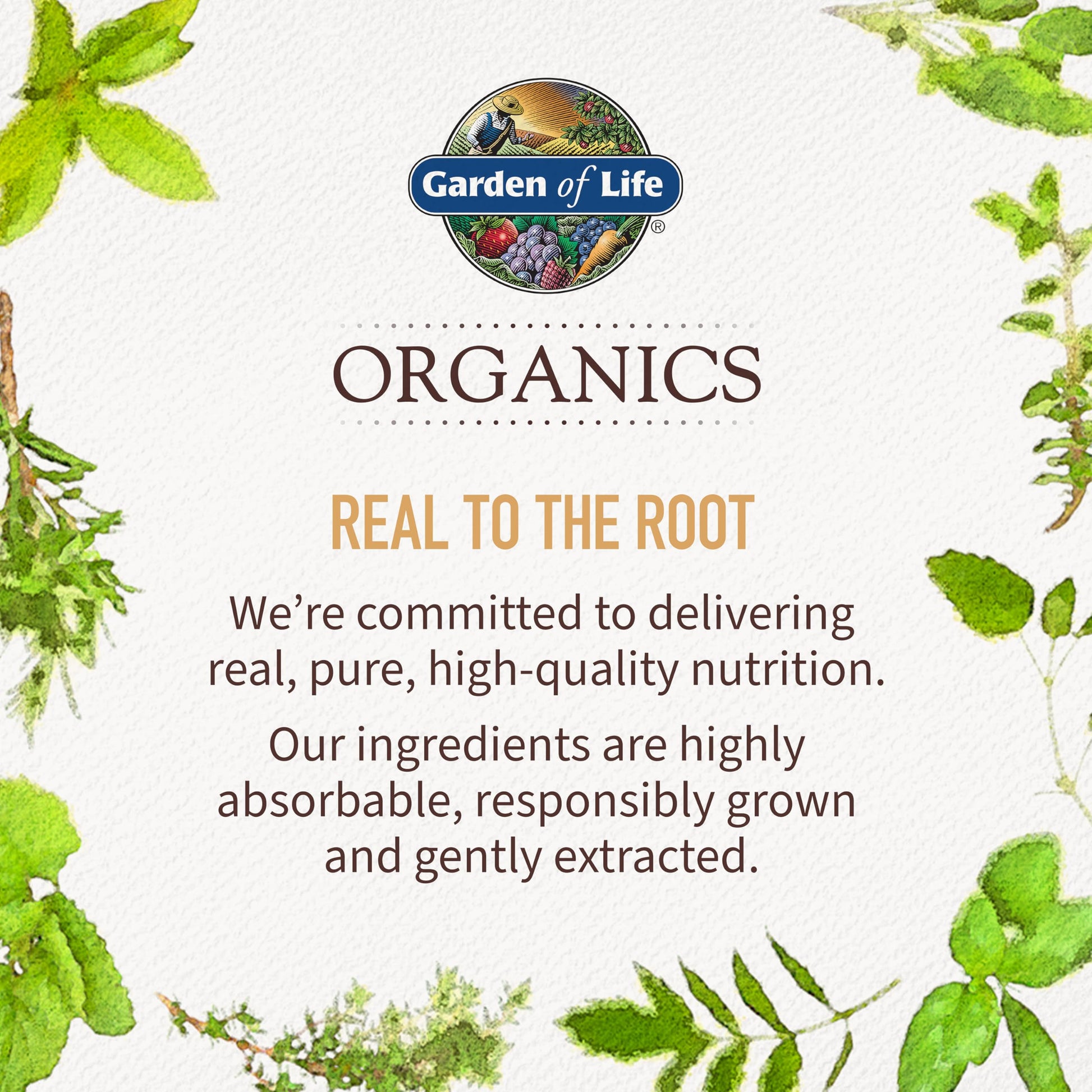 Garden of Life Organics Whole Food Multivitamin for Men 40+ 120 Tablets, Vegan Mens Multi for Health Garden of Life Au supplements