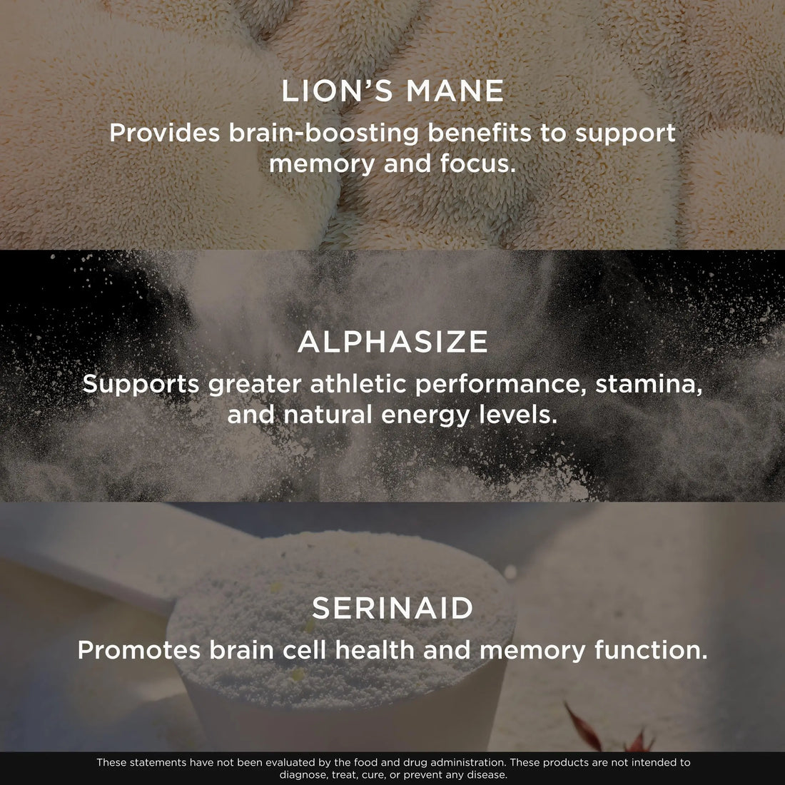 Genius Consciousness, Super Nootropic Brain Supplement Powder, Mango - Boost Focus, Cognitive Function, Concentration & Memory Booster - Alpha GPC & Lions Mane Mushroom for Neuro Energy & IQ The Genius Brand Au supplements
