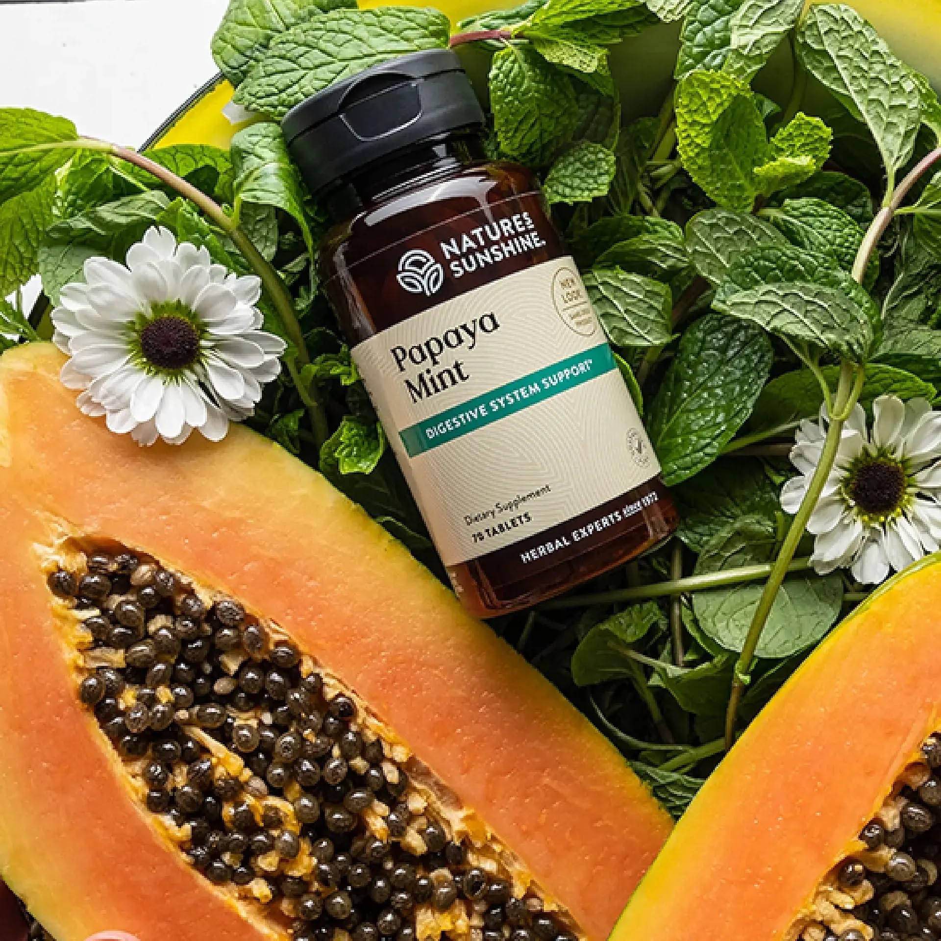 Papaya & Peppermint by Nature's Sunshine Nature's Sunshine Au supplements