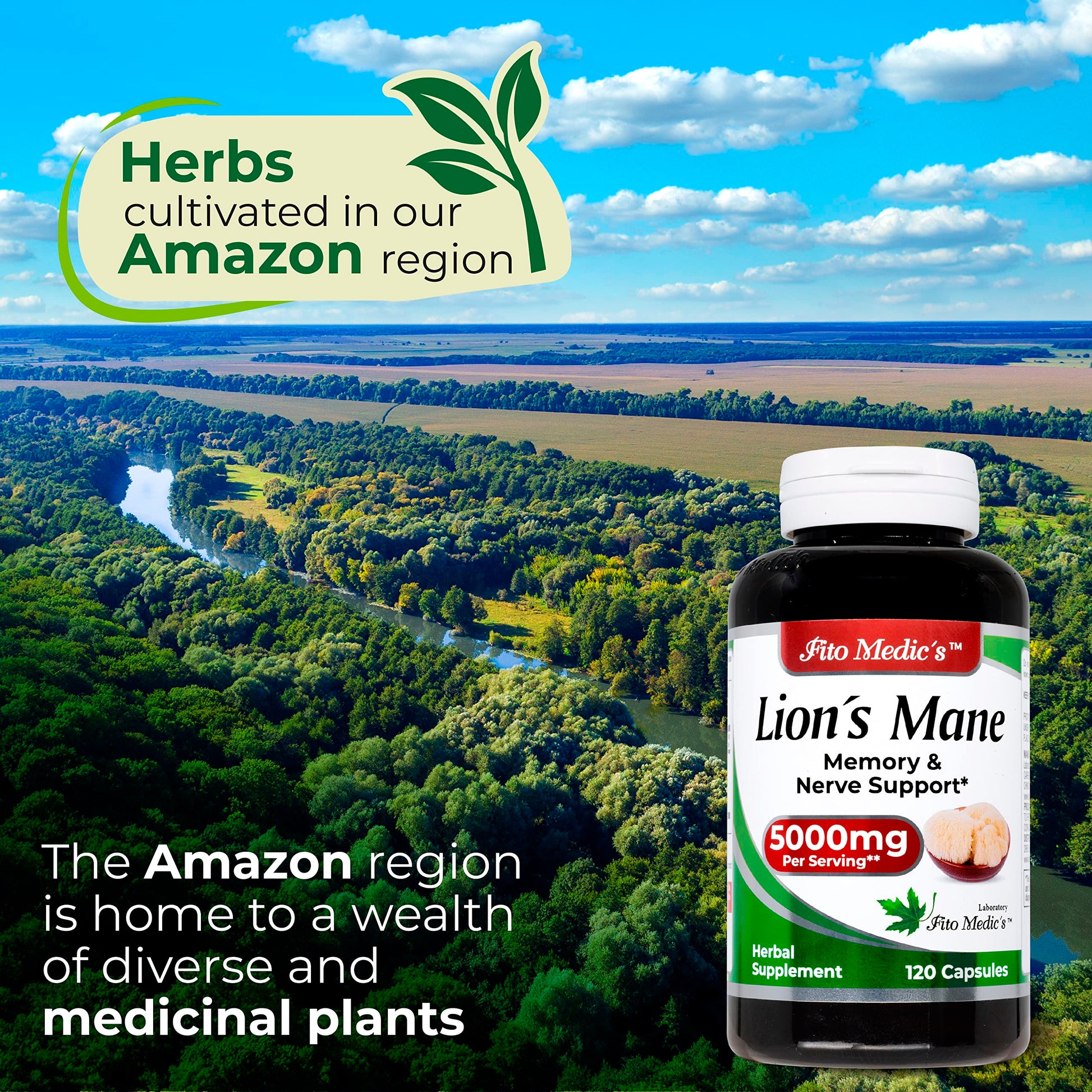 Lab | Lions Mane | 5000 mg per Serving | 120 Capsules | lions mane supplement | lions mane FITO MEDIC'S Au supplements