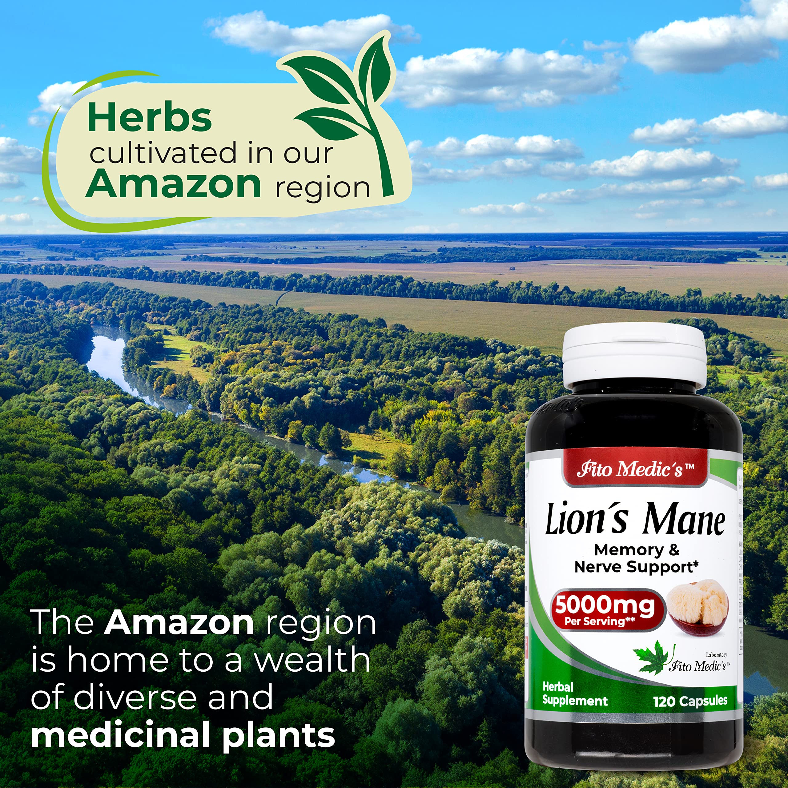 Lab | Lions Mane | 5000 mg per Serving | 120 Capsules | lions mane supplement | lions mane FITO MEDIC'S Au supplements