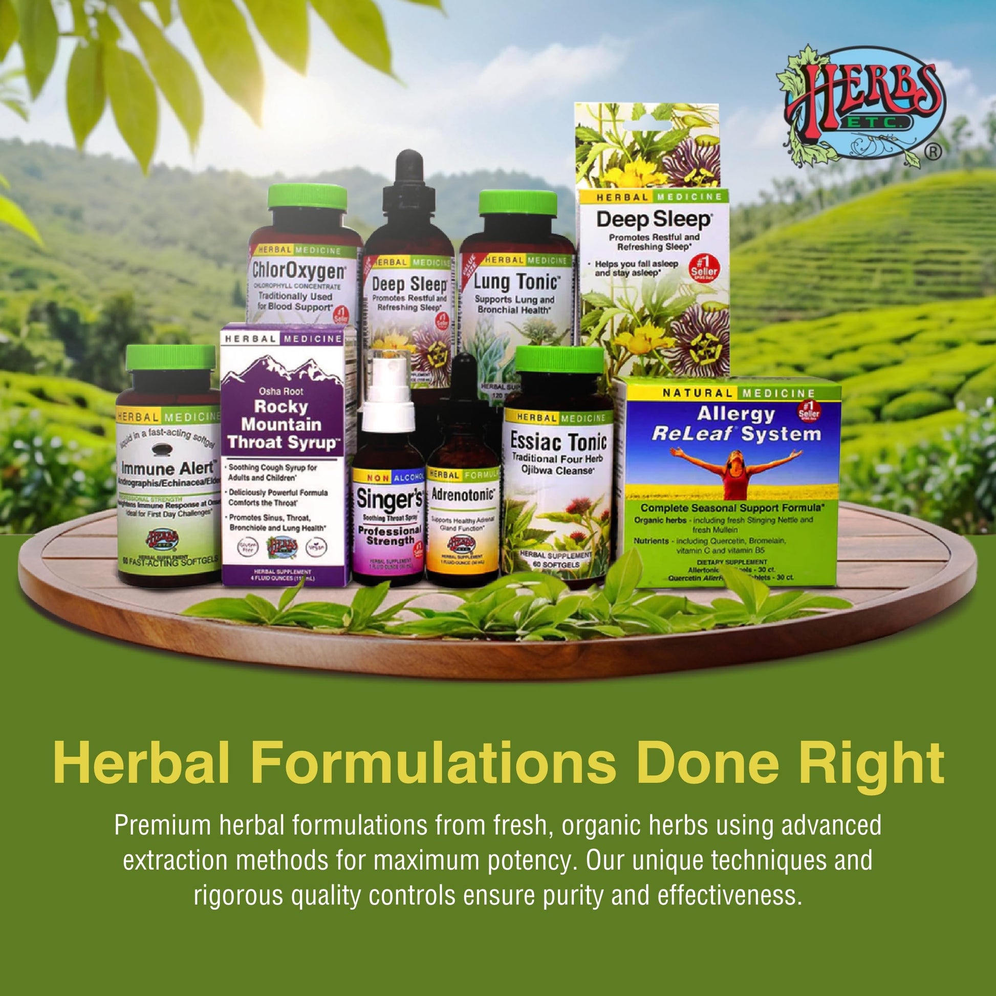Herbs Etc. Loviral - Lung Health Supplement for Respiratory Defense & Support - Herbal Supplement with Lomatium, Pelargonium & OSHA - Gluten-Free - 60 Softgels (60 Servings) Herbs Etc. Au supplements