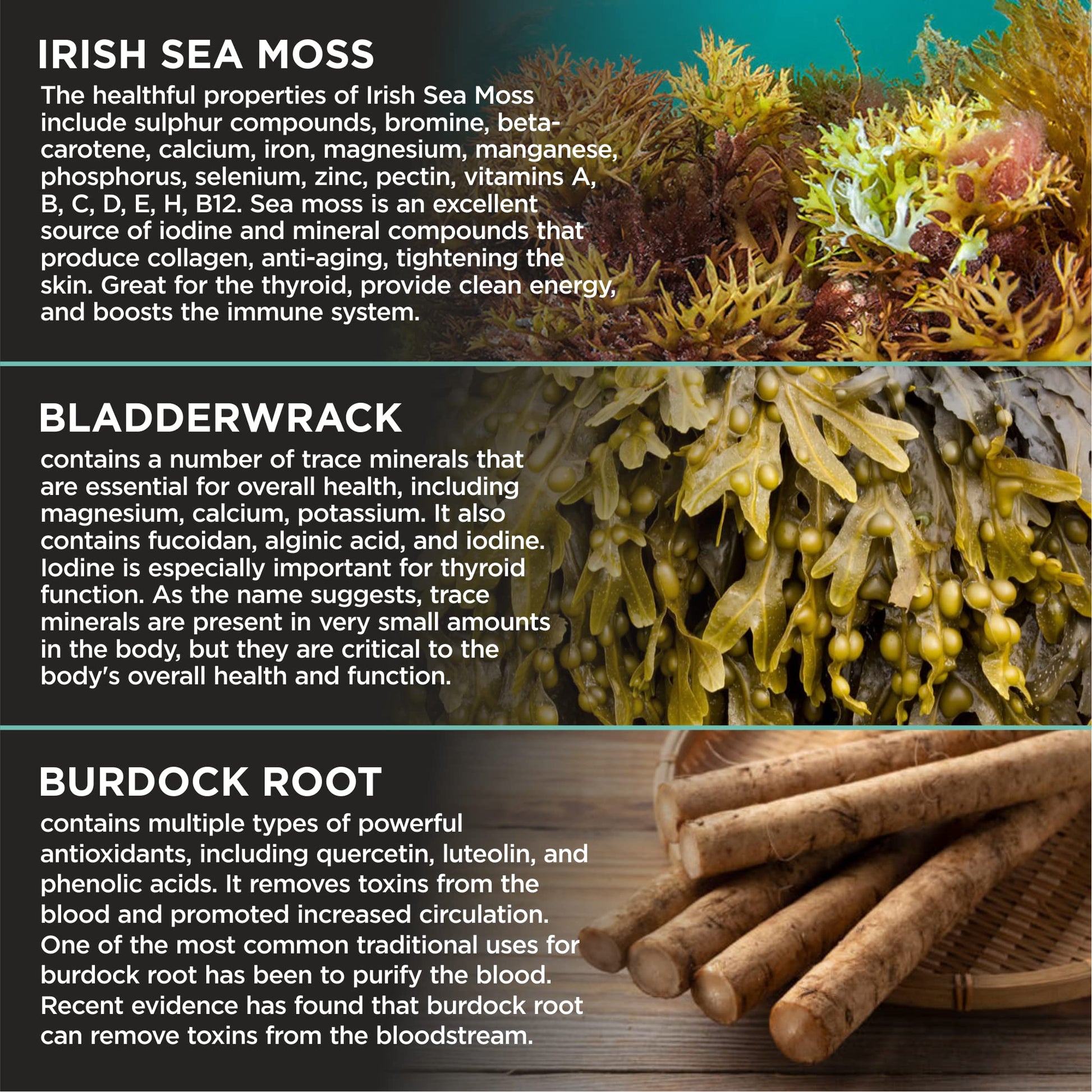 HerbaMe Organic Irish Sea Moss with Bladderwrack, Burdock Root & Black Pepper Extract, 150 Capsules, Thyroid Support, Natural Iodine Source, Promotes Immune System, Cell Food, Alkaline Supplement HerbaMe Au supplements