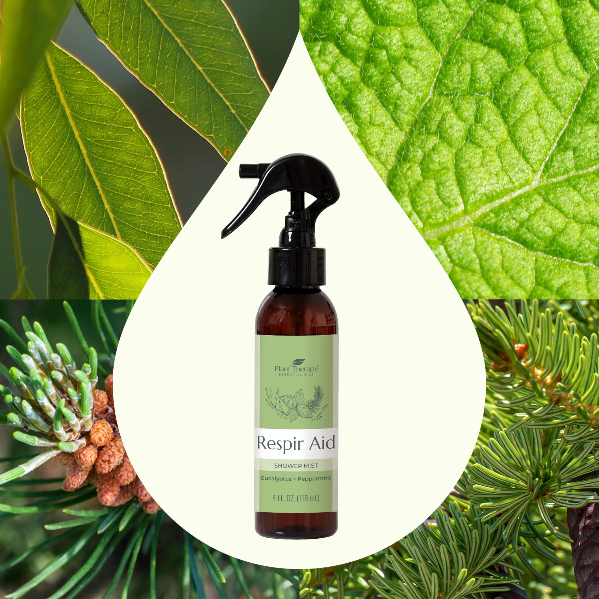 Plant Therapy Respir Aid Shower Mist 4 oz Refreshing & Crisp Aroma, Great to Help Clear Congestion Plant TherapyUS supplements