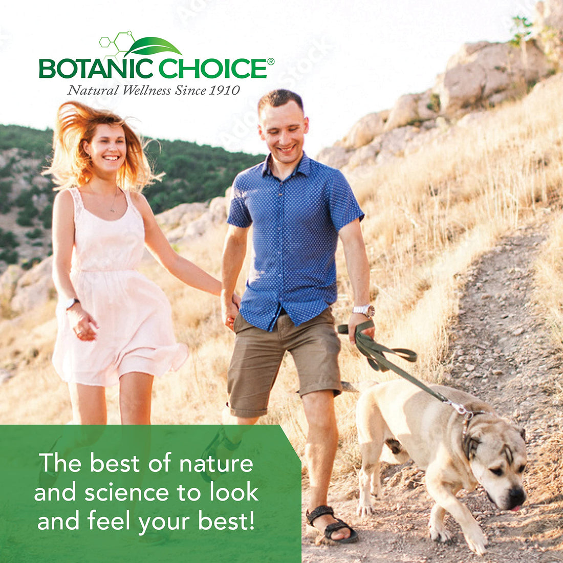 Botanic Choice Ultra Kidney Complex - Optimal Kidney Support with Milk Thistle, Green Tea & More- 60 Capsules Botanic Choice Au supplements