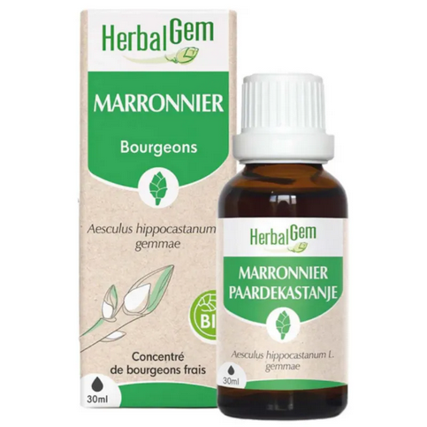 Marronnier BIO Macérat mère bourgeons Flacon 50 ml HERBALGEM