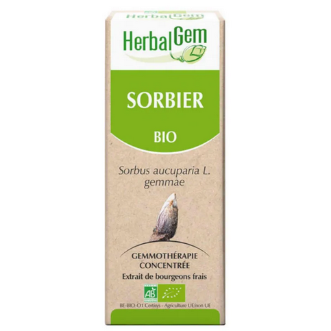 Sorbier BIO Macérat mère Flacon 30 ml HERBALGEM